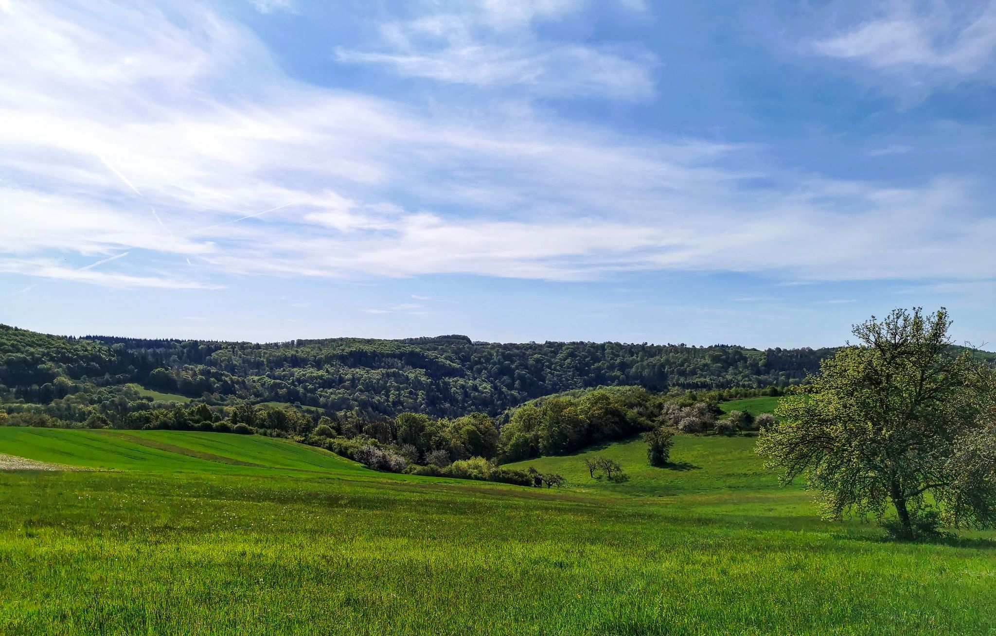Blick ins Albachtal