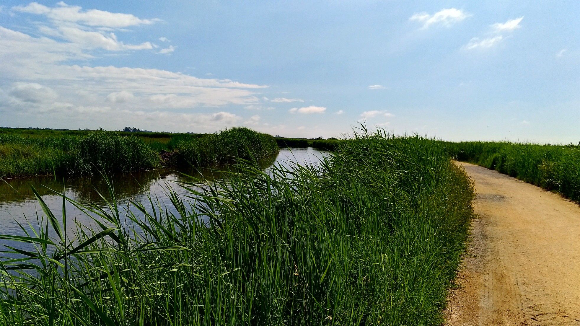 Bio ria