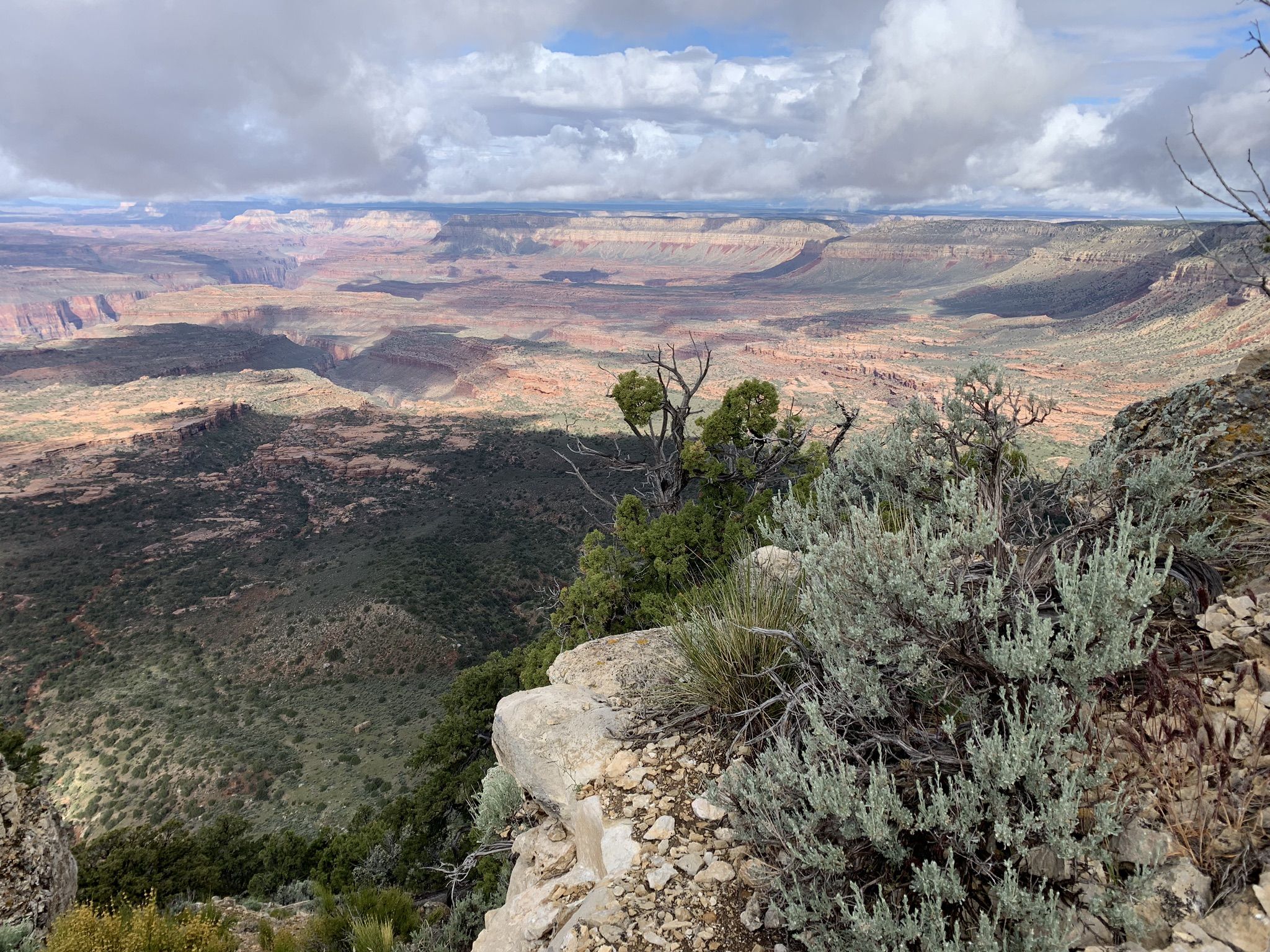 Expansive canyon vista from a high viewpoint, with layered rock and cloudy sky. - Bill Hall Trail