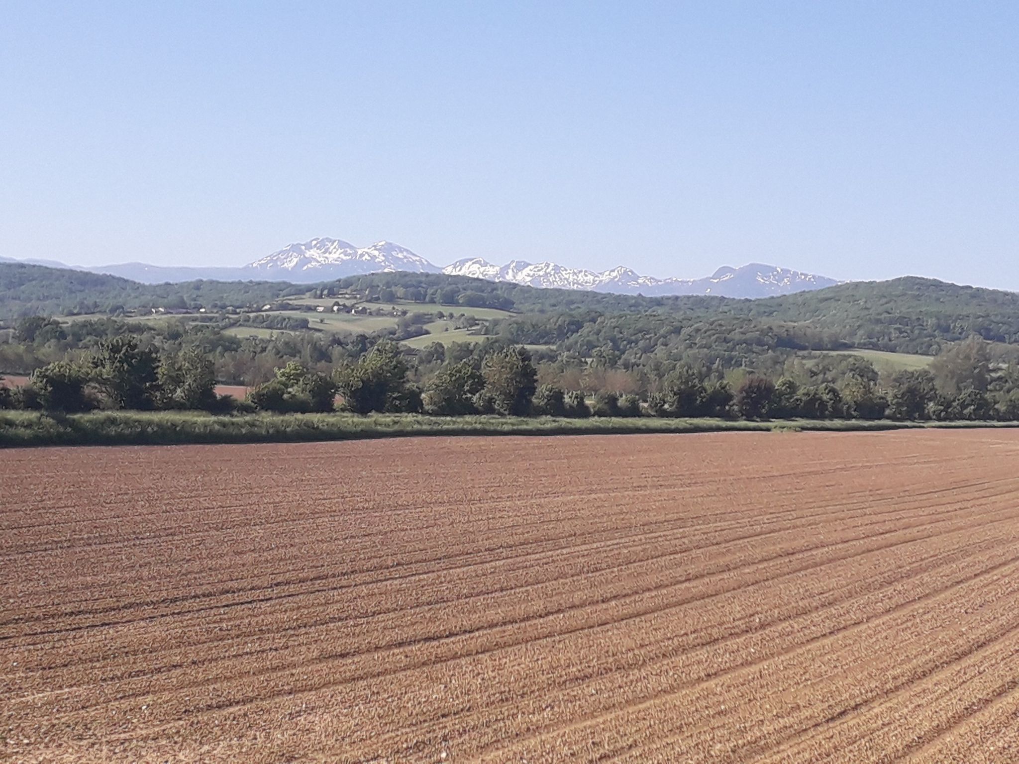 encore un peu de neige en montagne