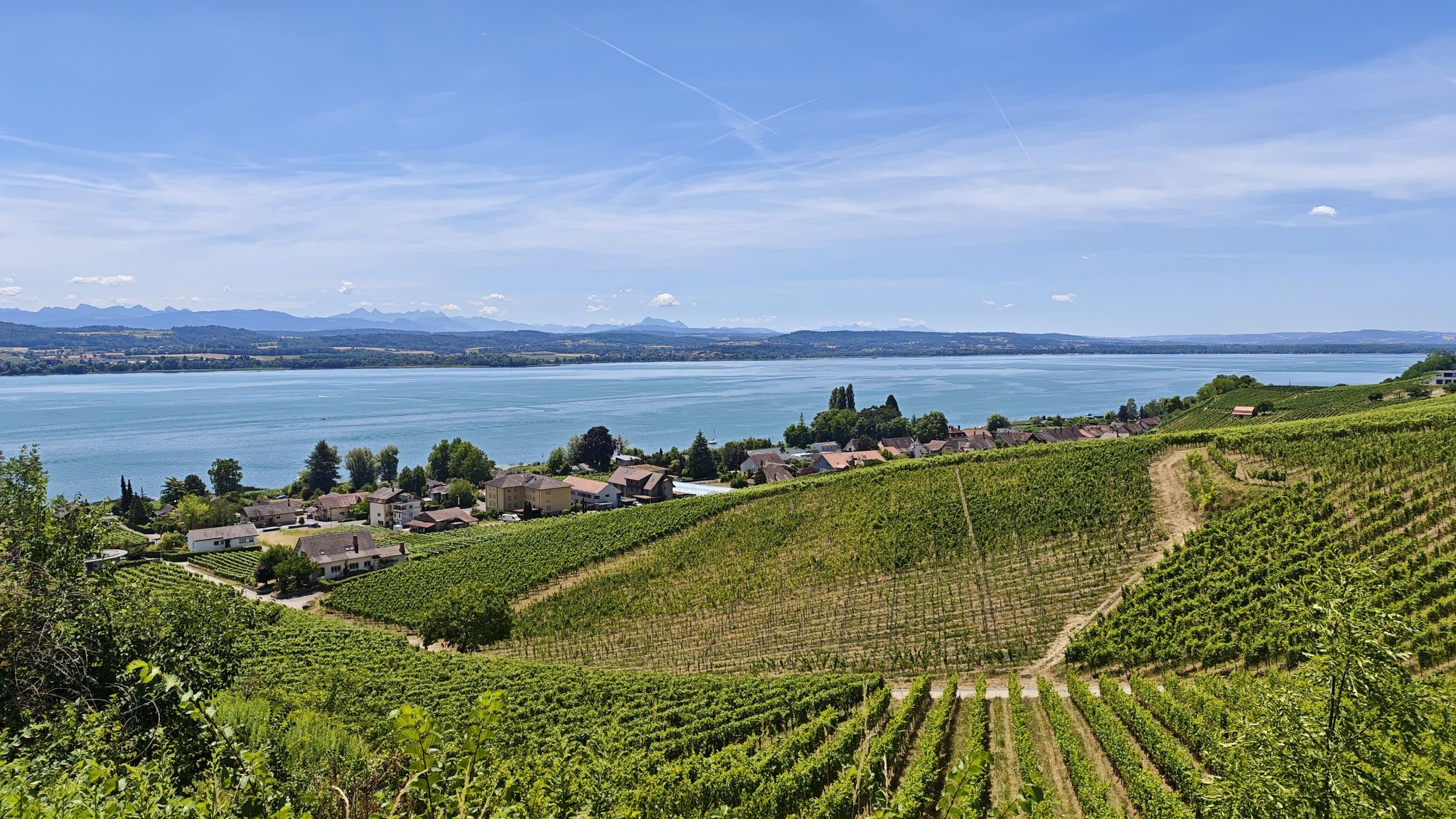 langer Weinbergweg am Mont Vully
