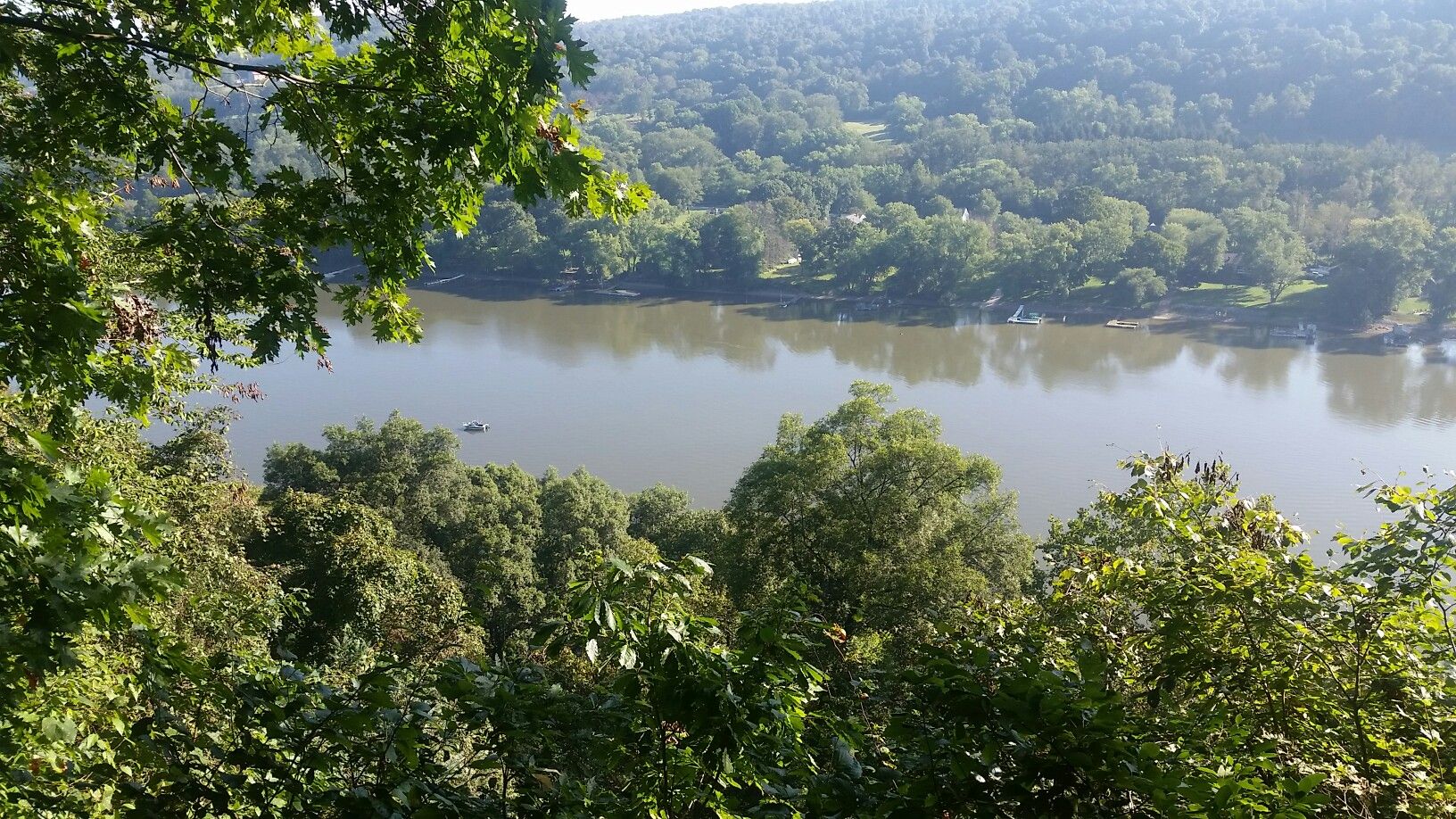 Overlook of a wide river surrounded by lush green trees under a bright sky. - Rachel Carson Trail