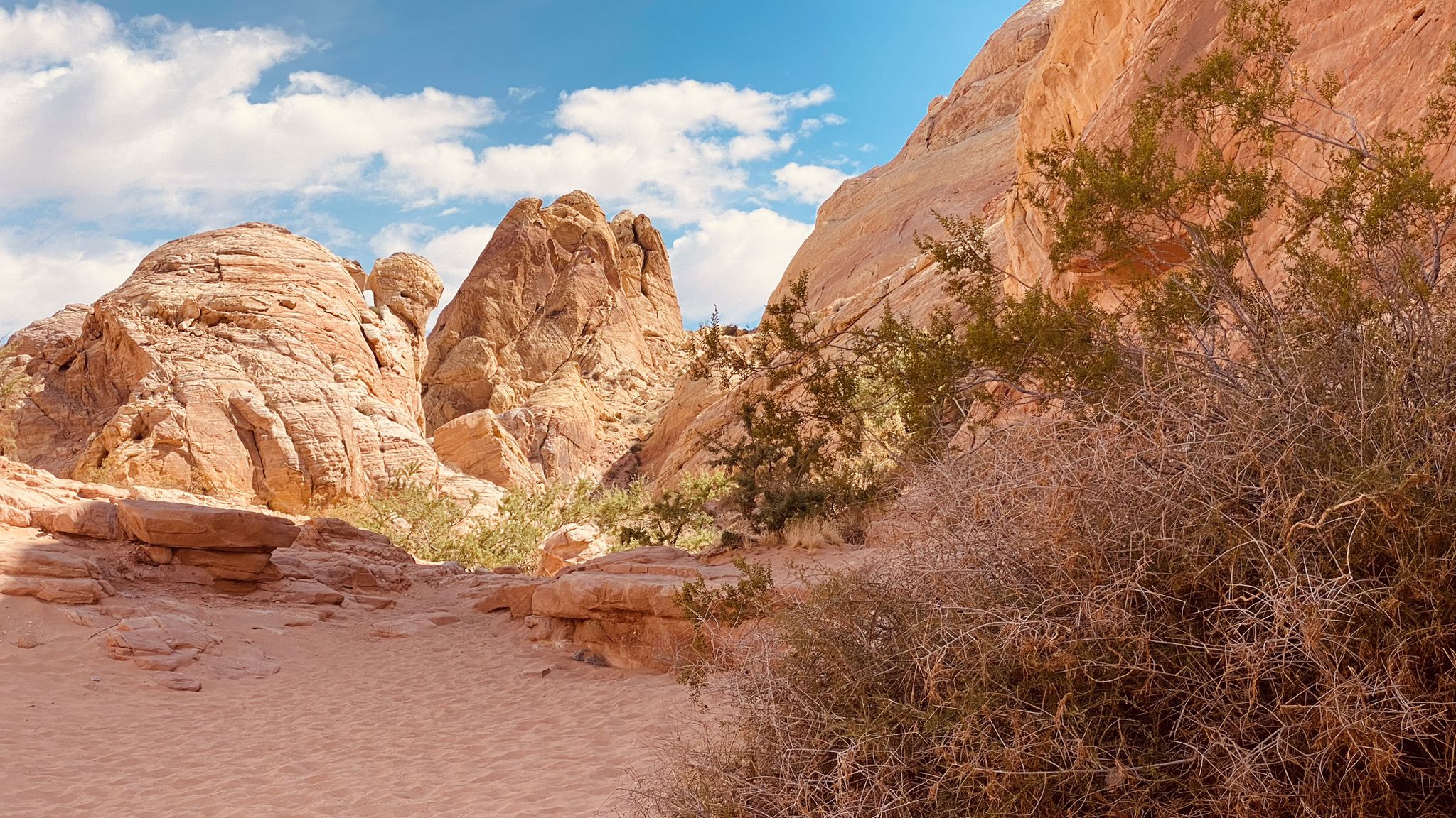 Red rock formations, sparse desert plants under a sunny blue sky. - Fire Wave, White Domes and Seven Wonders Loop