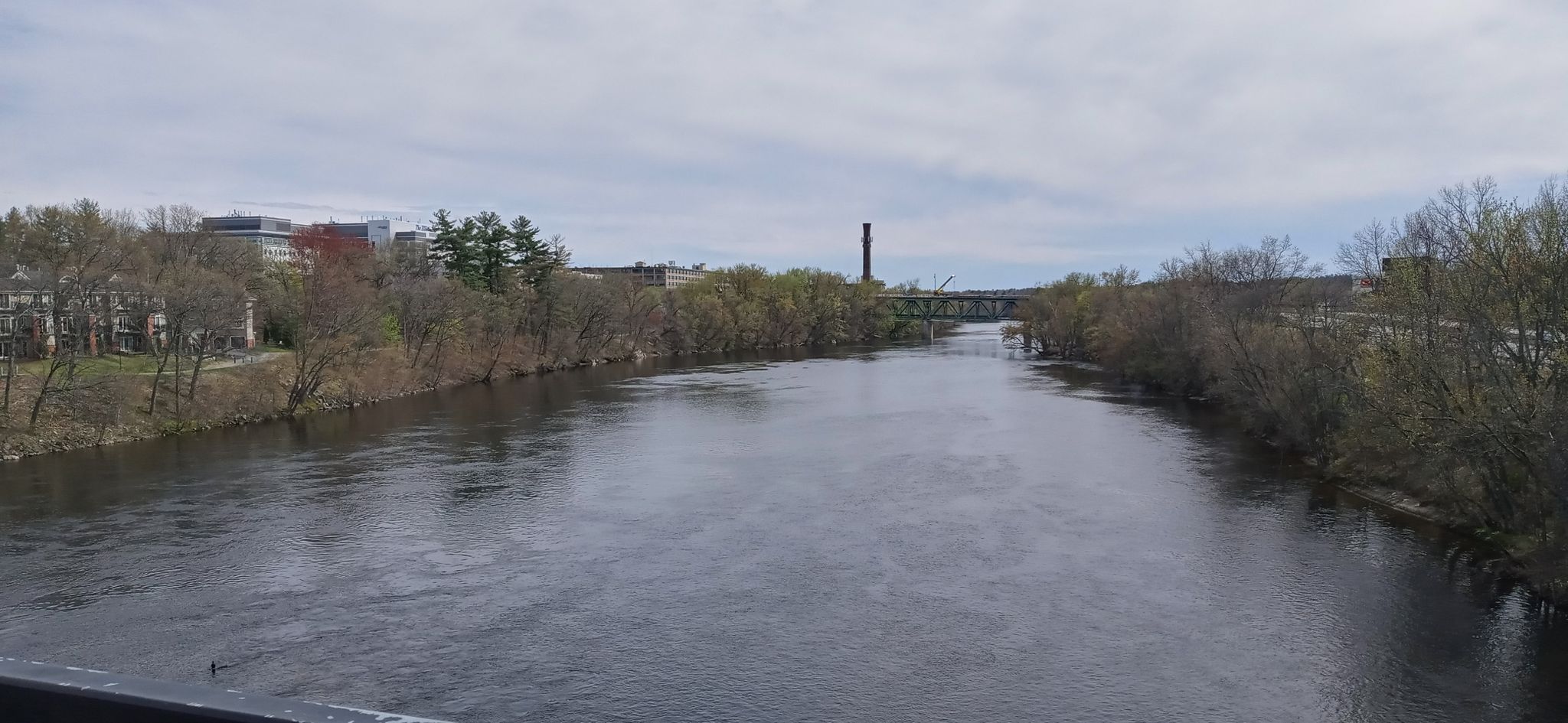 River flowing past bare trees and distant buildings under an overcast sky. - Heritage and Piscataquog Trail