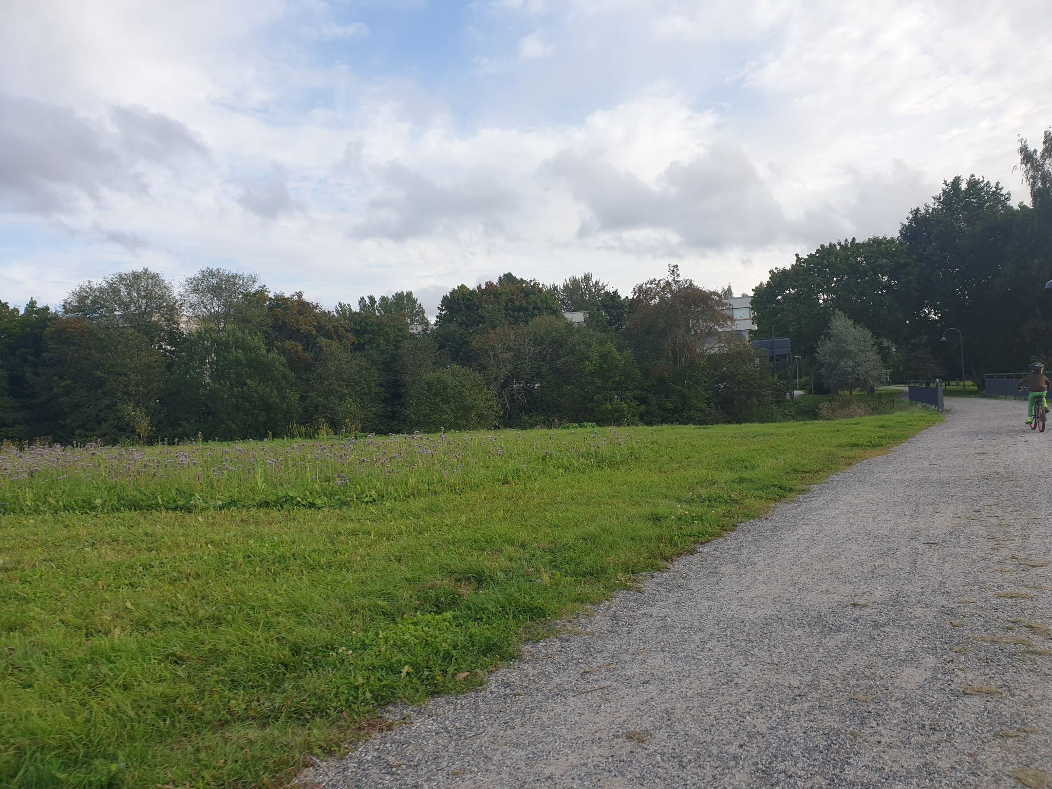 park