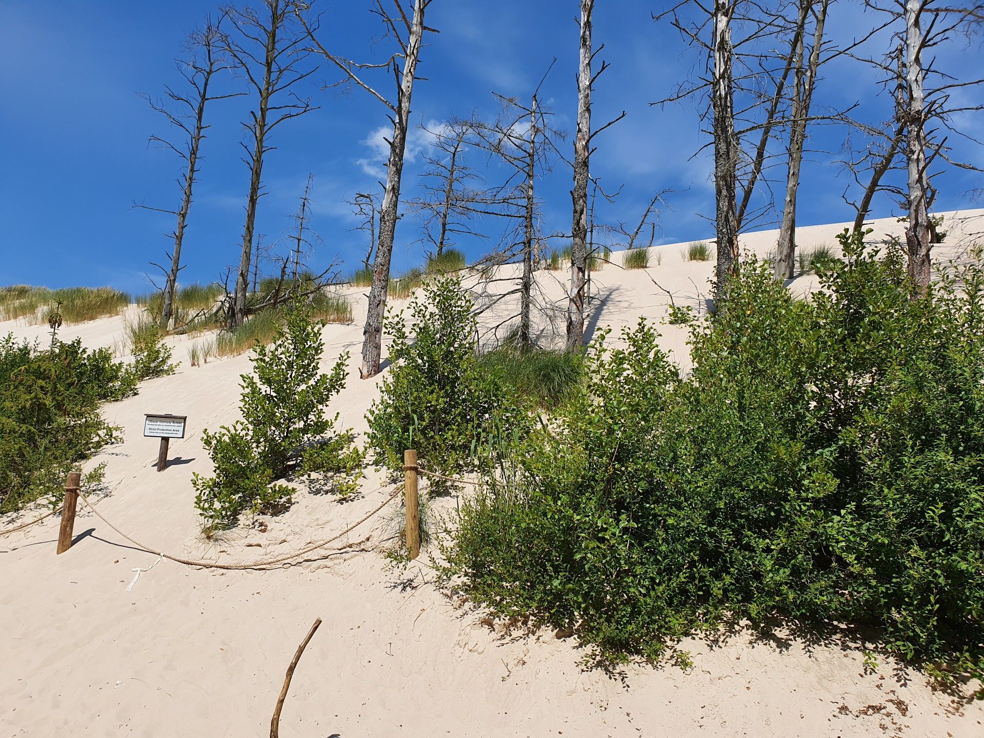 Wanderdüne
