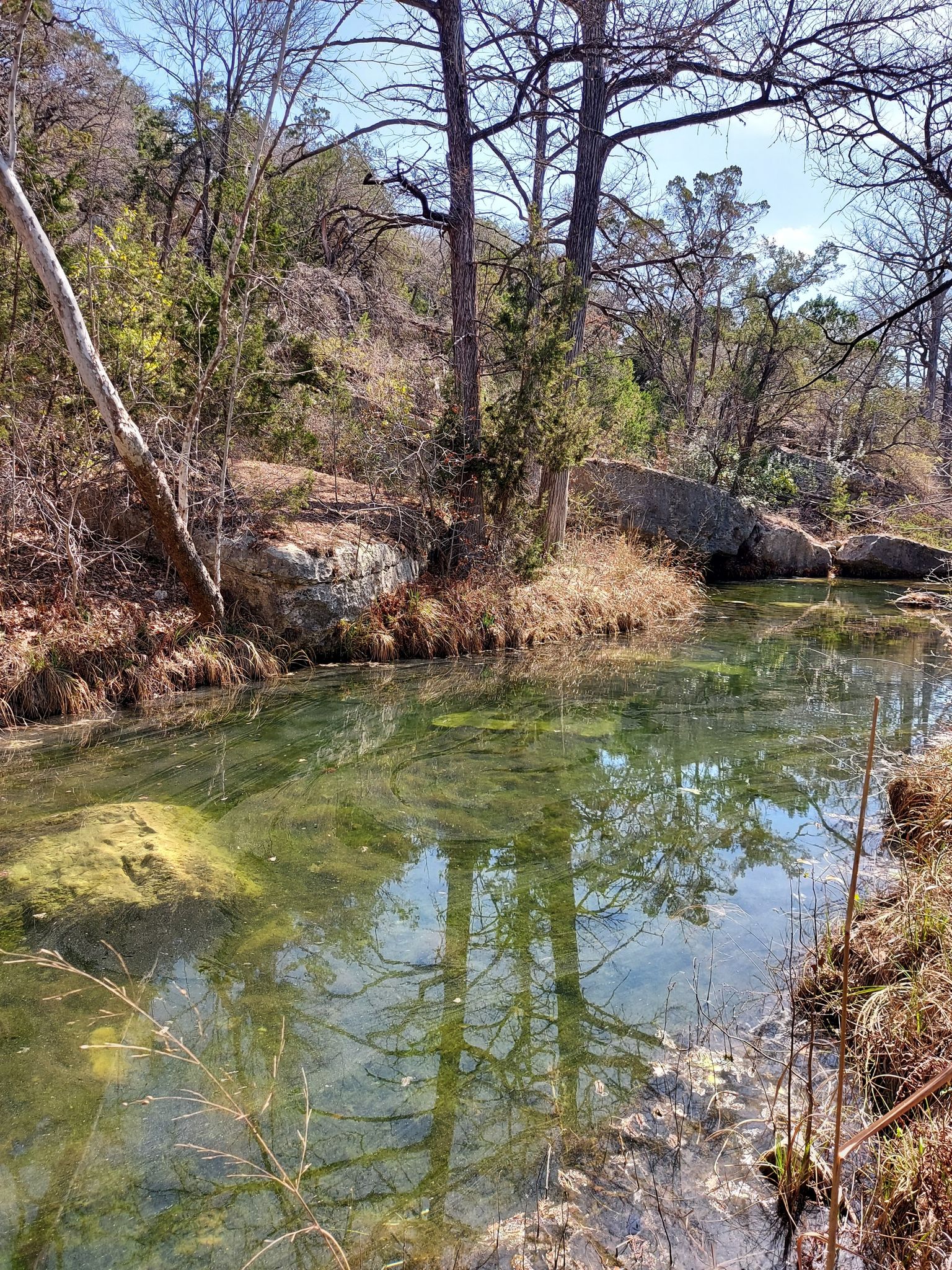 Clear stream flows through a sunny, rocky, wooded landscape. - Hamilton Pool Trail