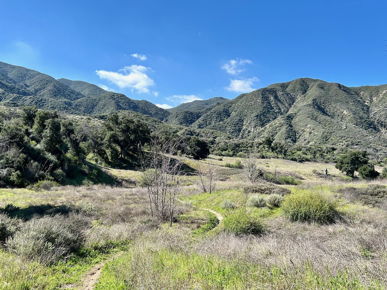 Green valley with rolling hills and a path under a bright blue sky. - East Walker Loop