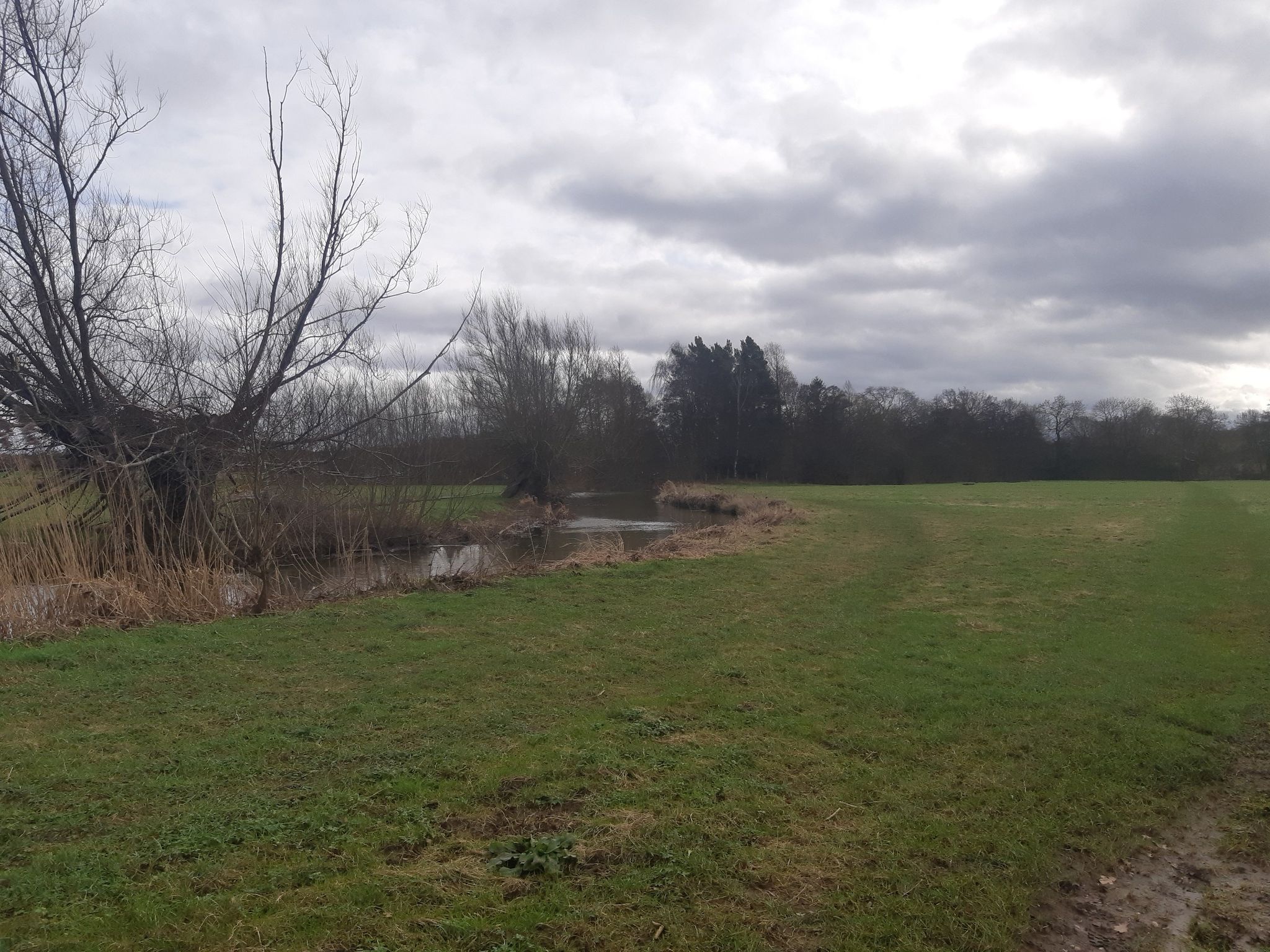 River Alne