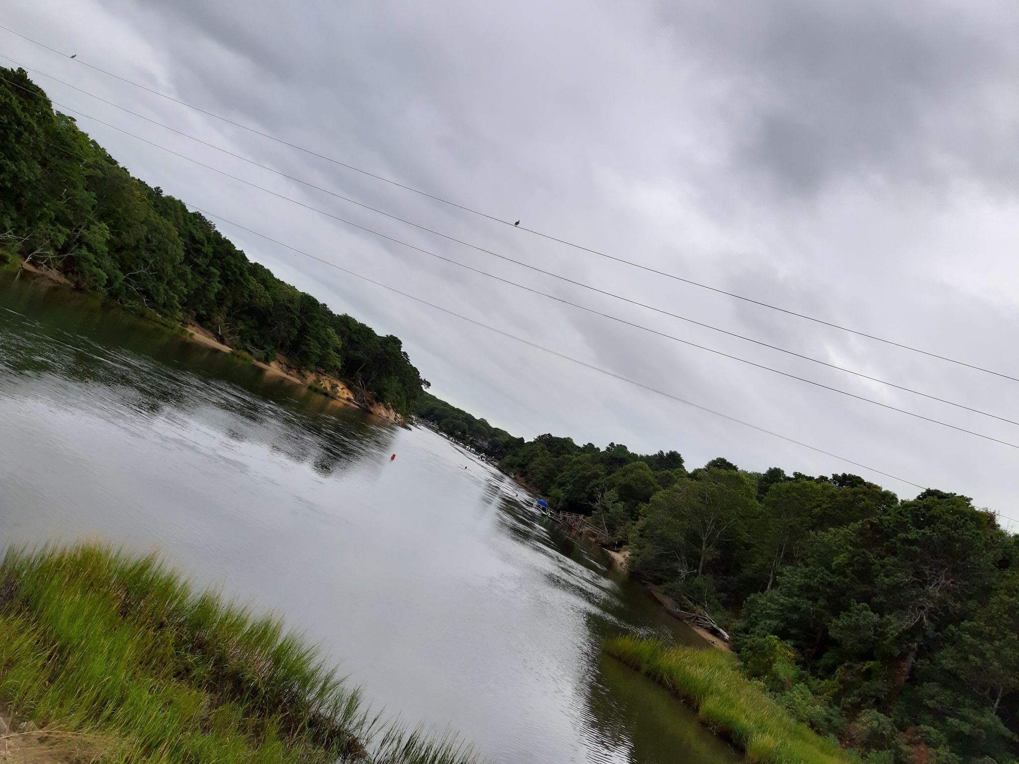 A wide river flows between dense green forested banks under a cloudy sky. - Cape Cod & Old Colony Rail Trails: Chatham Loop