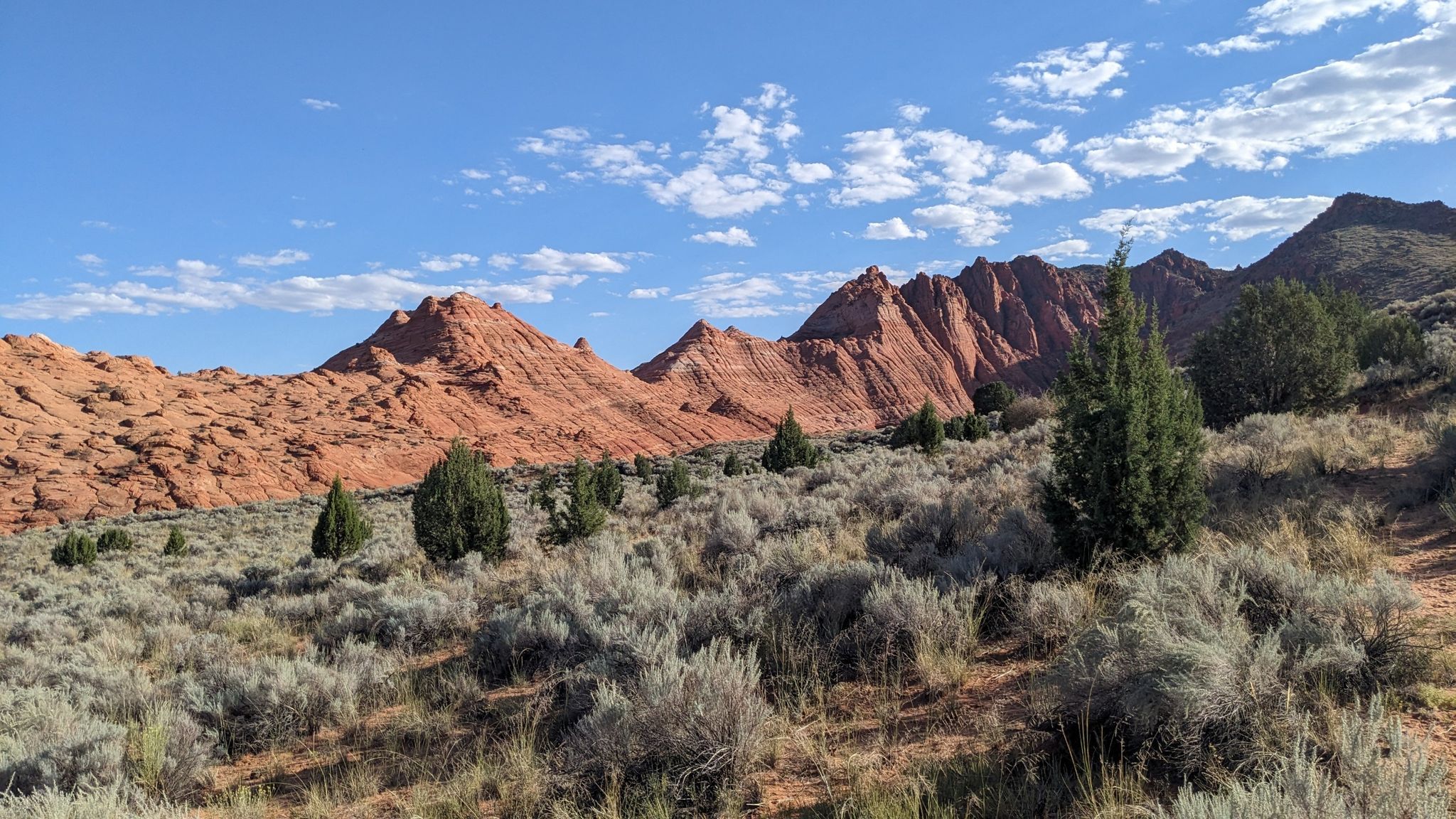 Expansive desert landscape with red mountains, green trees, and scrub under blue sky. - The Wave – Wire Pass Trailhead loop from Coyote Buttes North