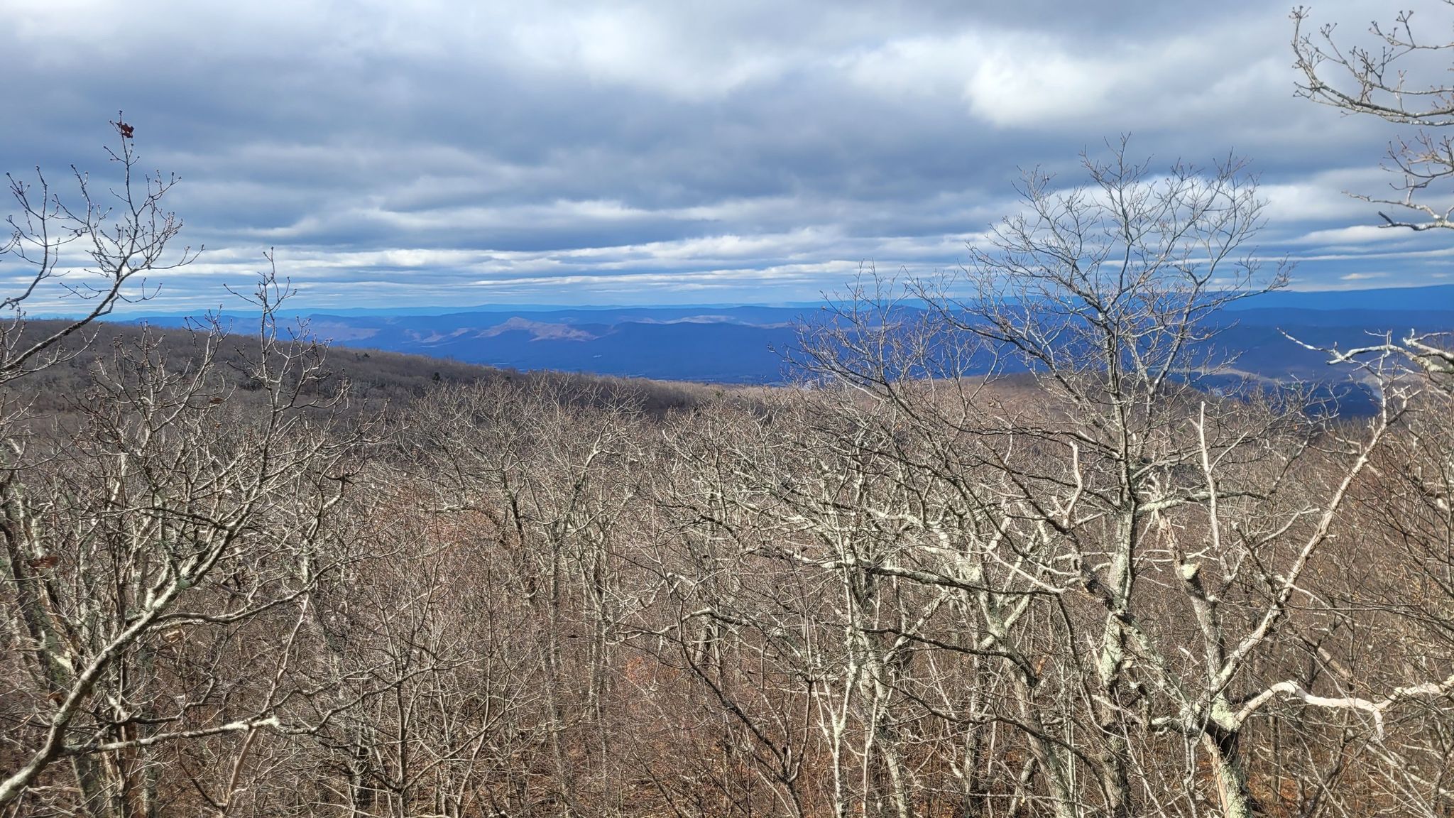 Leafless trees on a hillside under a dramatic, cloudy sky. - Sugarloaf Loop