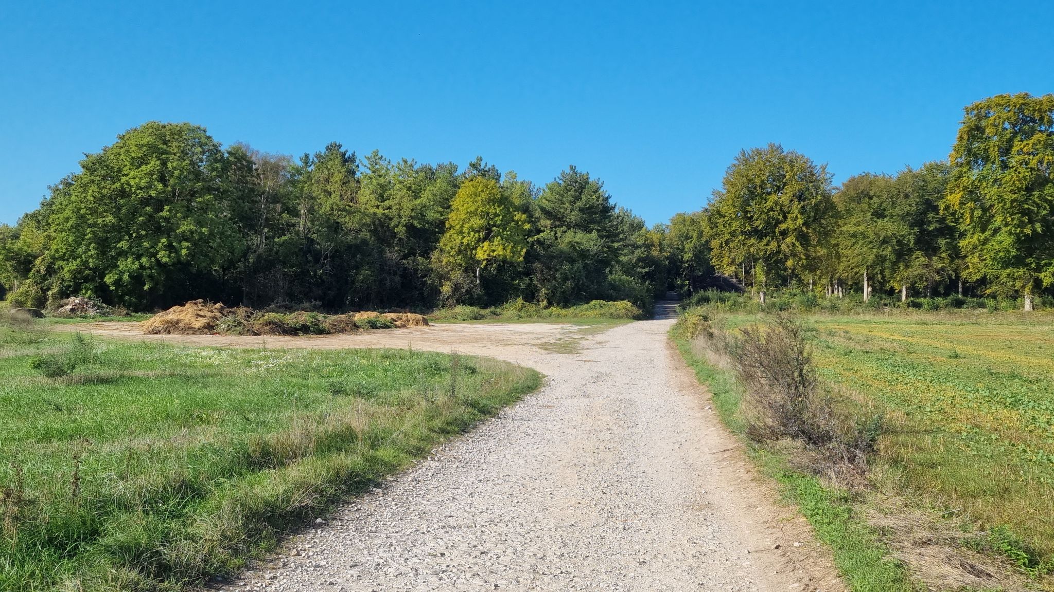 Au début du beau chemin sous-bois / At the start of the lovely woodland path