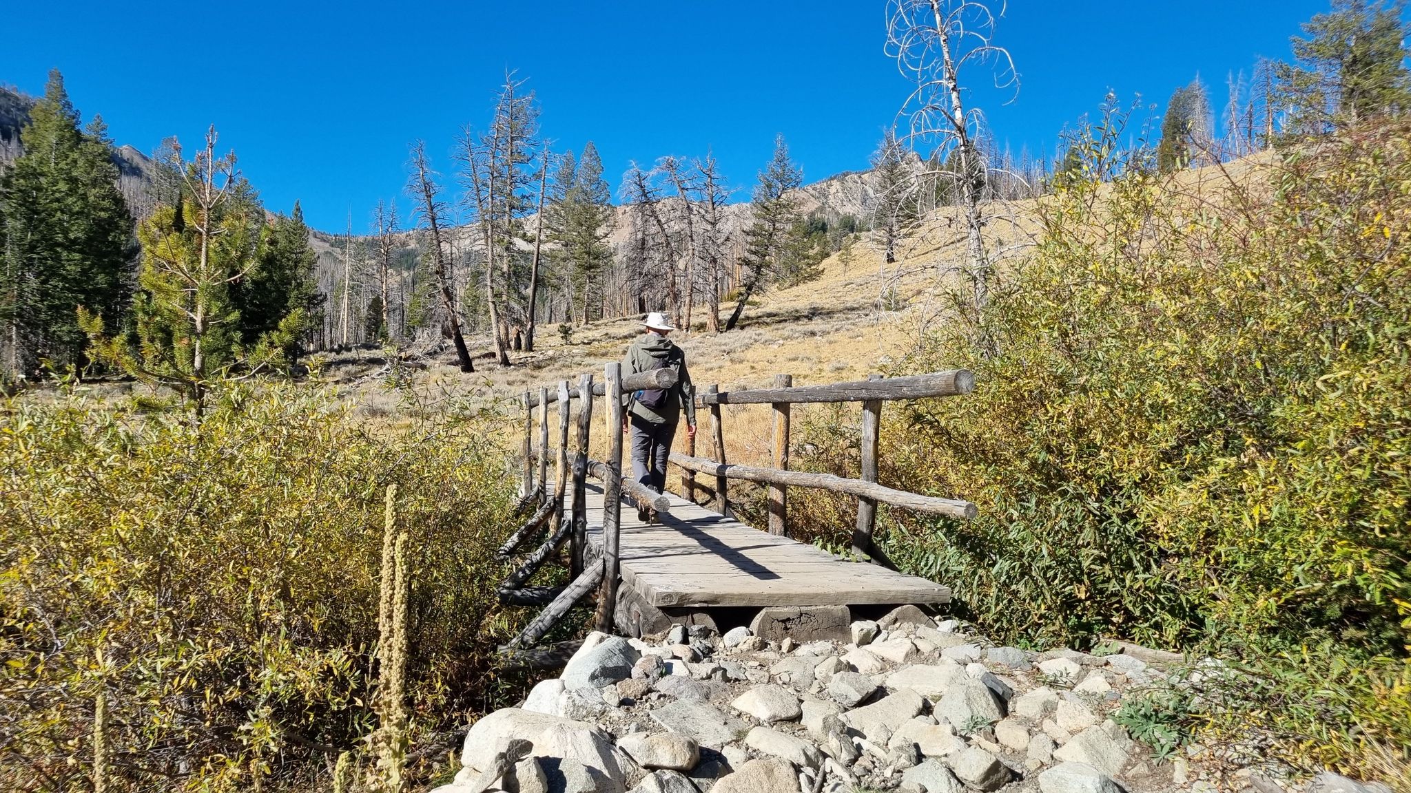 Hiker crosses a wooden bridge in a sunny, dry landscape with sparse trees. - Baker Lake Trail