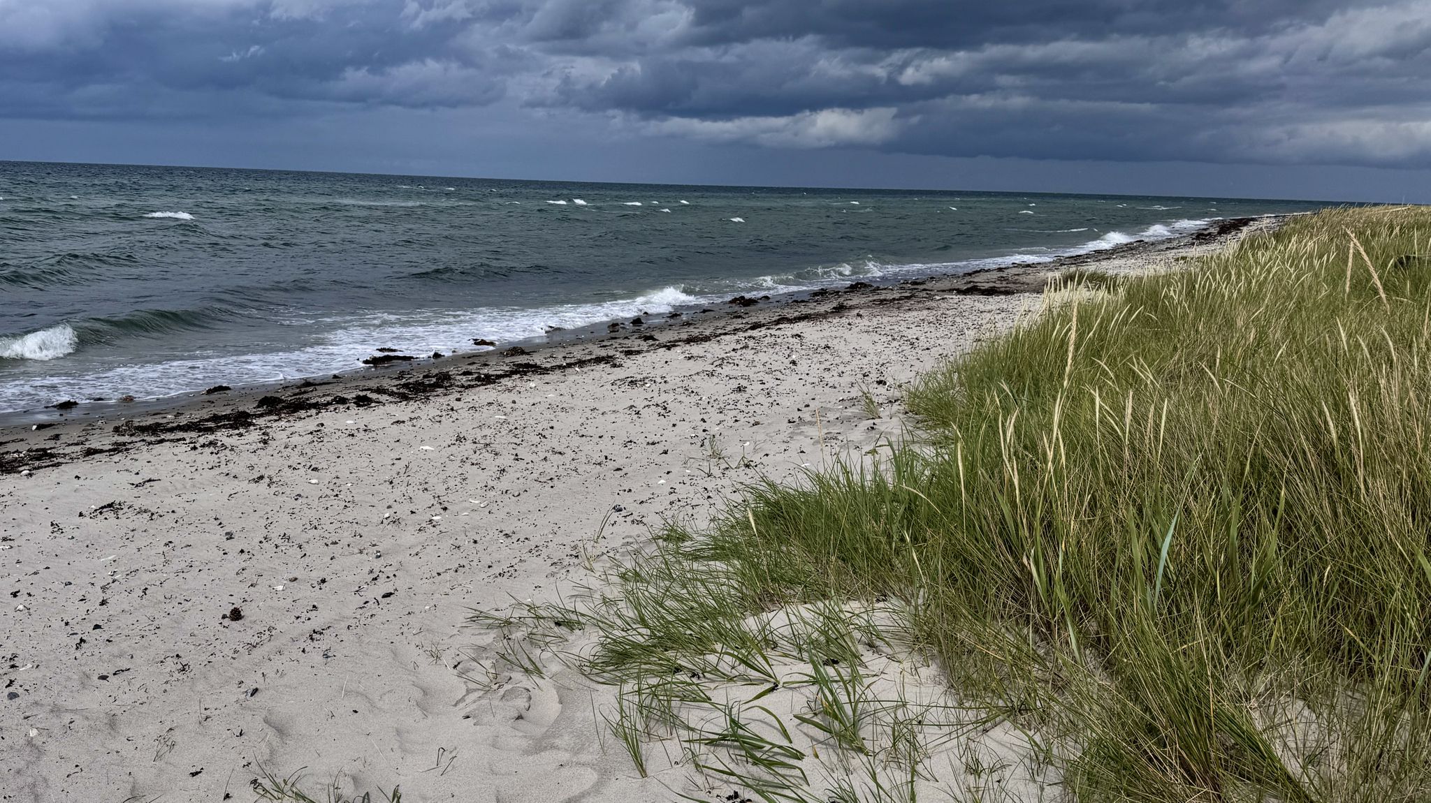 An der Ostsee bei Fjellerup Strand