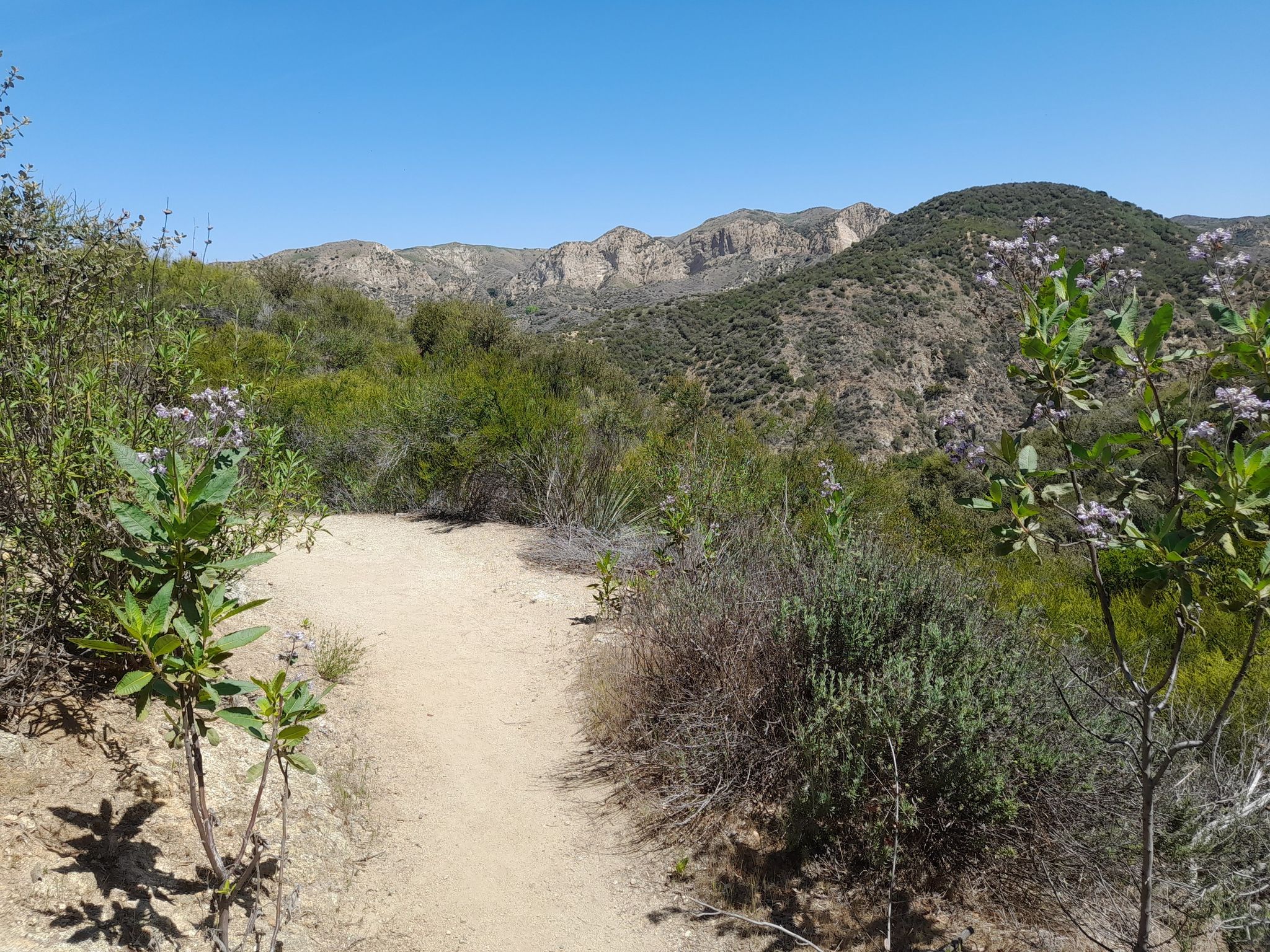 Dirt path winding through dry hills with distant mountains under clear sky. - Canyon, Los Pinetos, and Viper Trails Loop