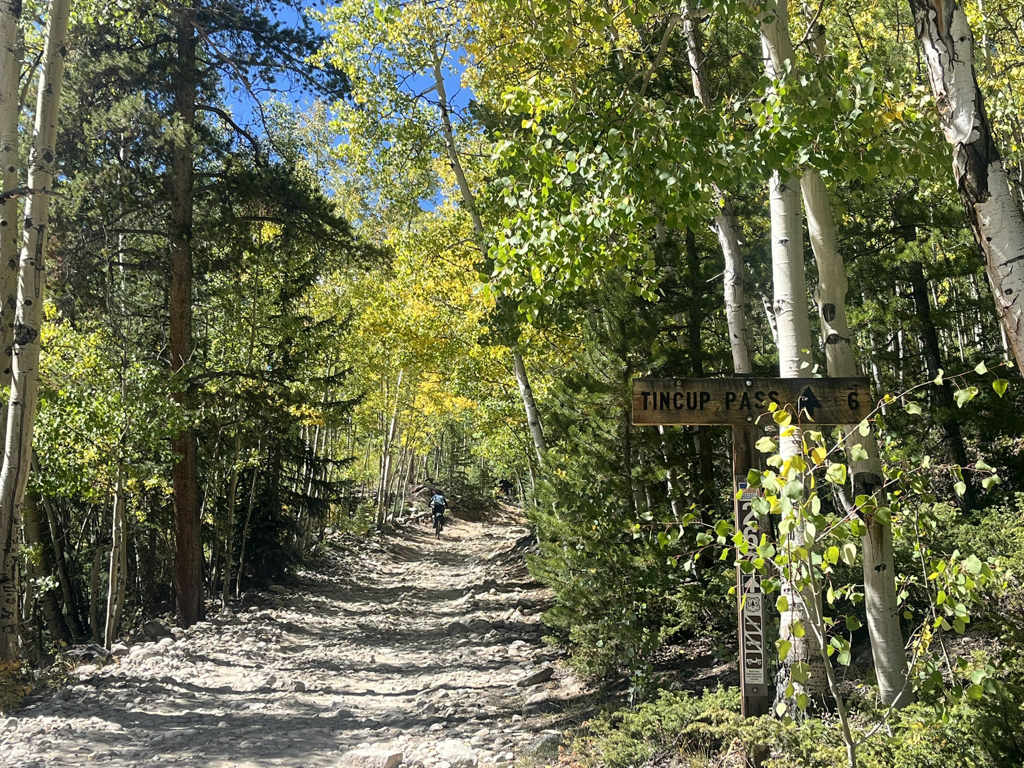 A dirt path through a forest of green and yellow trees with a distant person. - St. Elmo County Road 294