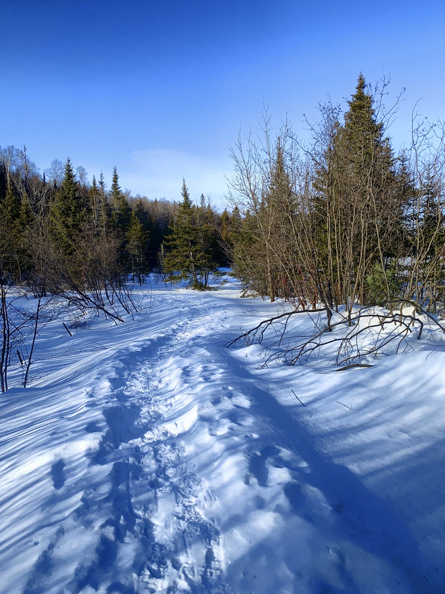 A snow-covered path with footprints, bordered by trees, under a bright sky. - Benson Lake Trail Loop