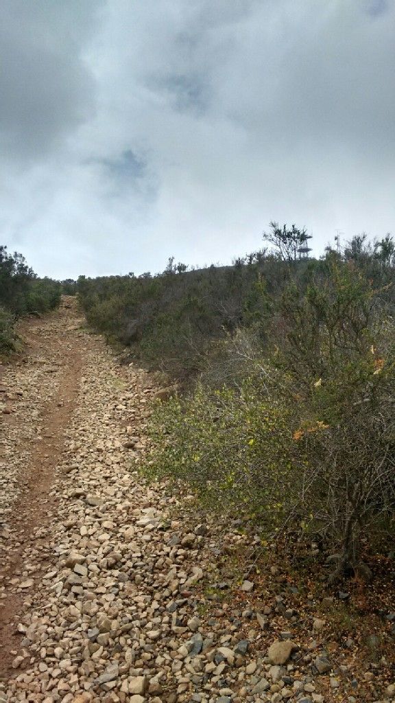 Steep, rocky dirt path ascends uphill through dry brush under an overcast sky. - Black Mountain loop from Rancho Peñasquitos