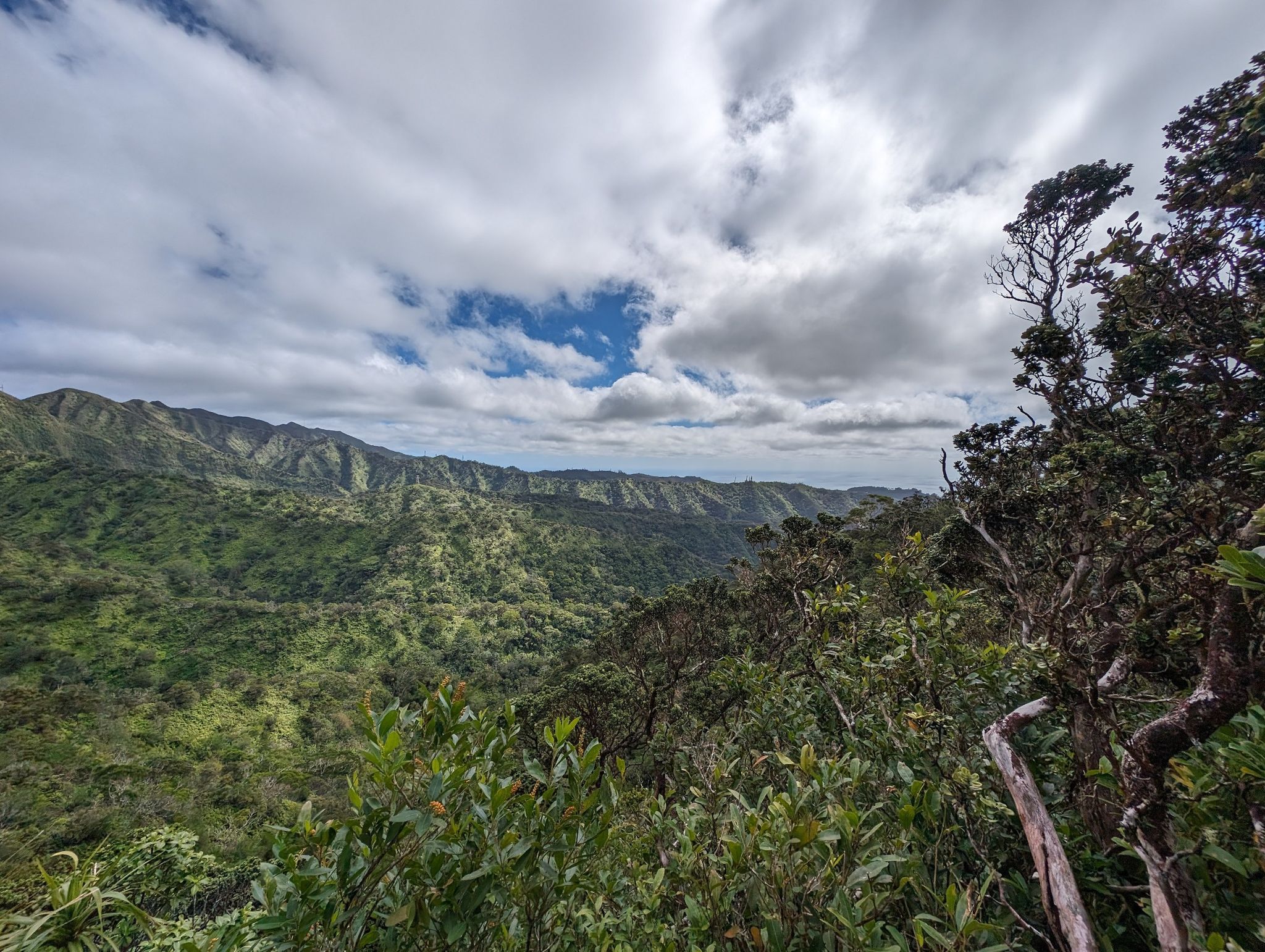 Dense green forest in foreground with a rugged mountain range under cloudy skies. - Ala Wai Canal – Mount Olympus Summit loop from University of Hawaiʻi at Mānoa