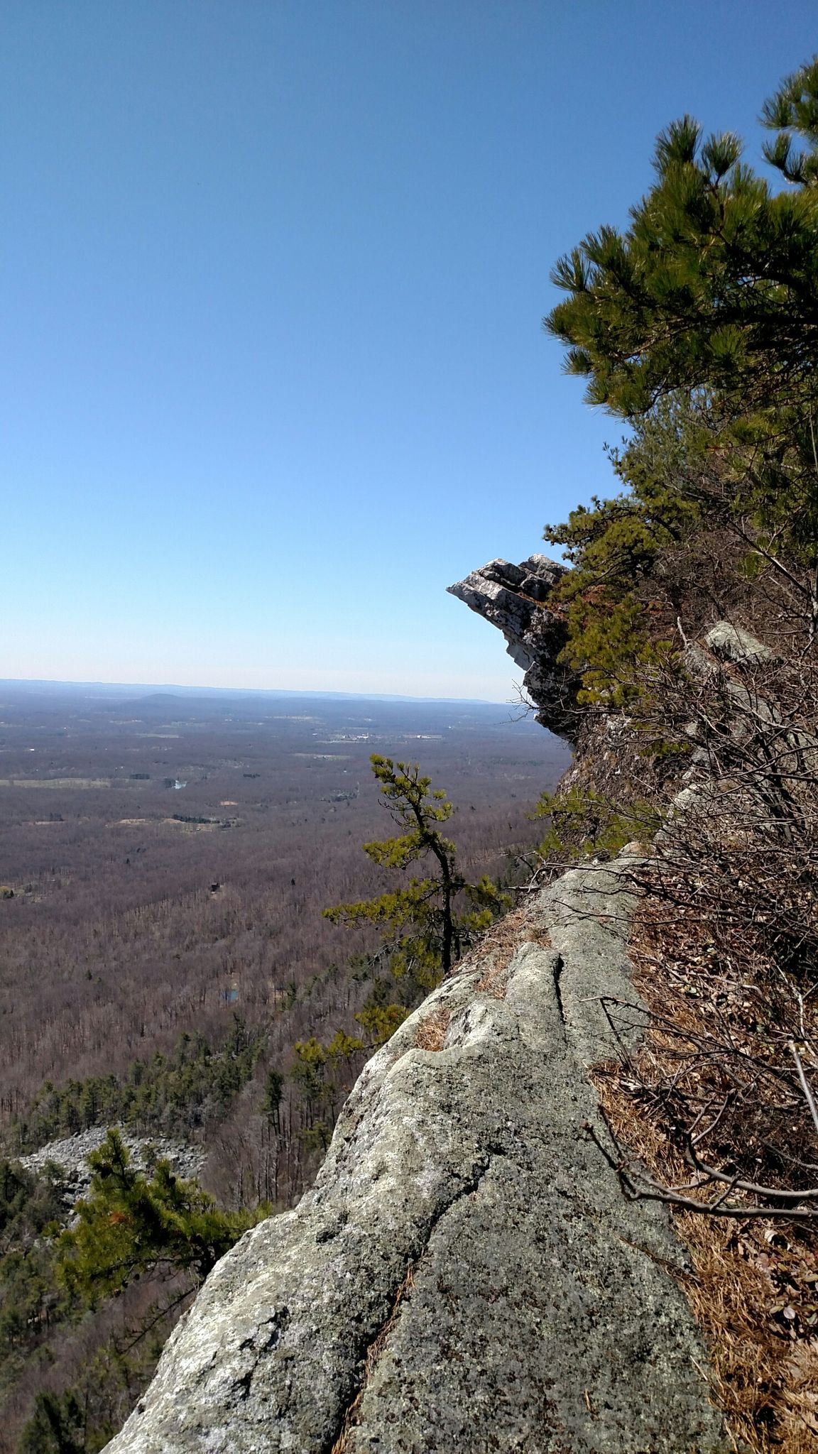 Rocky cliff edge with pine trees overlooking a vast, hazy forested landscape. - Millbrook Mountain via Trapps, Coxing, & Millbrook Ridge Trail loop