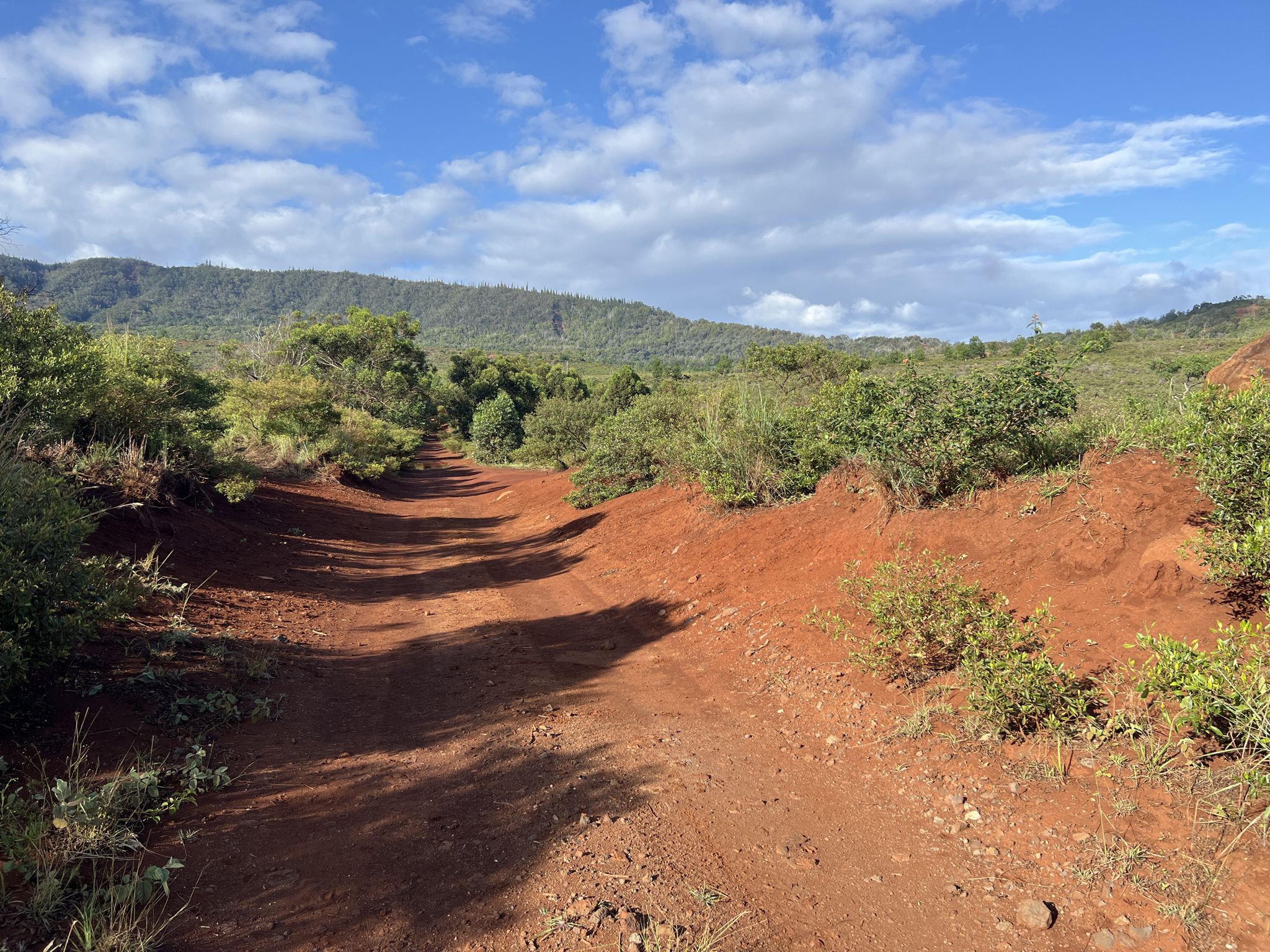 Red dirt road winding through green hills under a cloudy sky. - Munro Trail