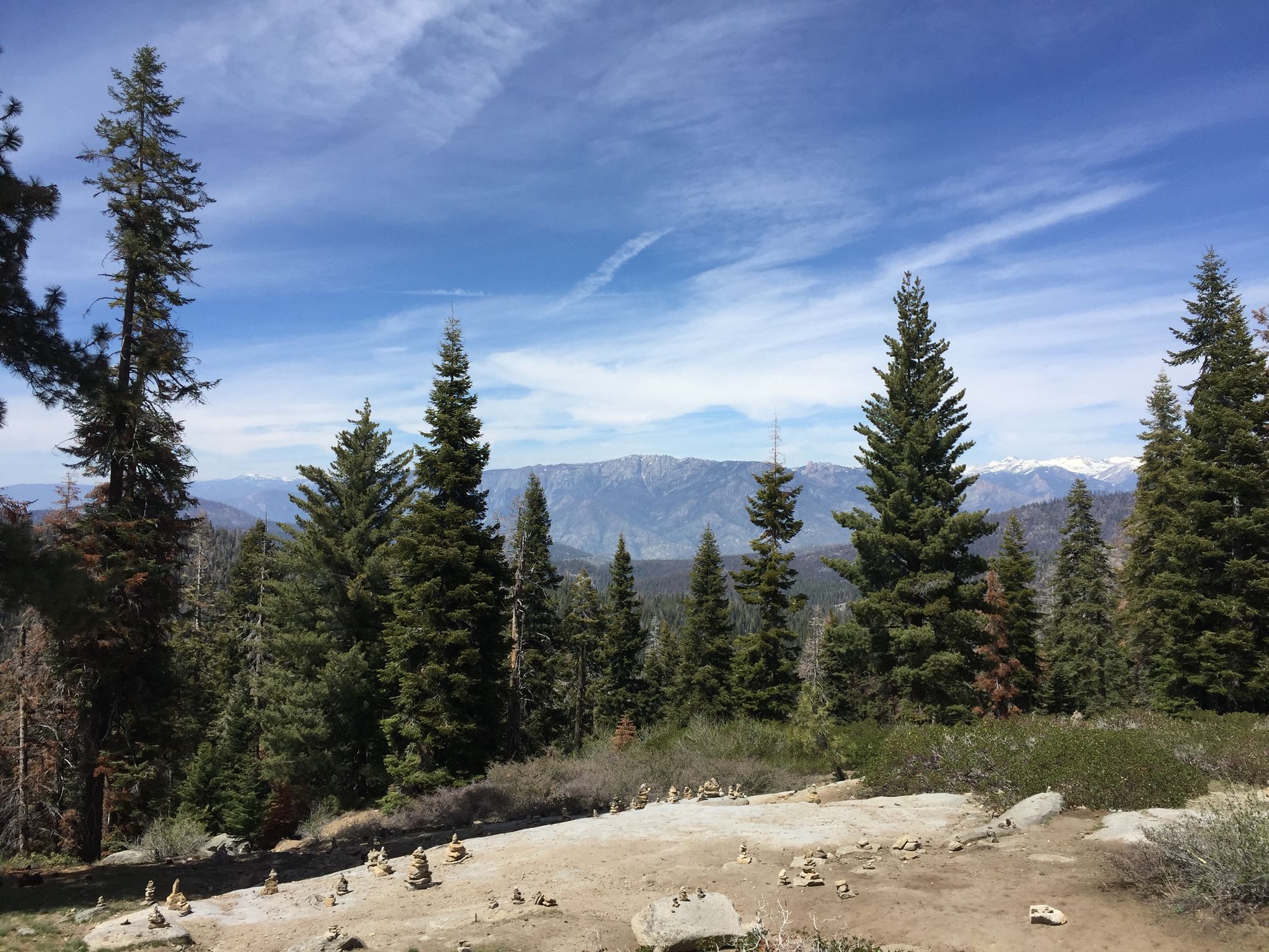 Tall pine trees frame distant mountains under a bright blue sky. - Kings Canyon Overlook to Lost Grove via Generals Highway