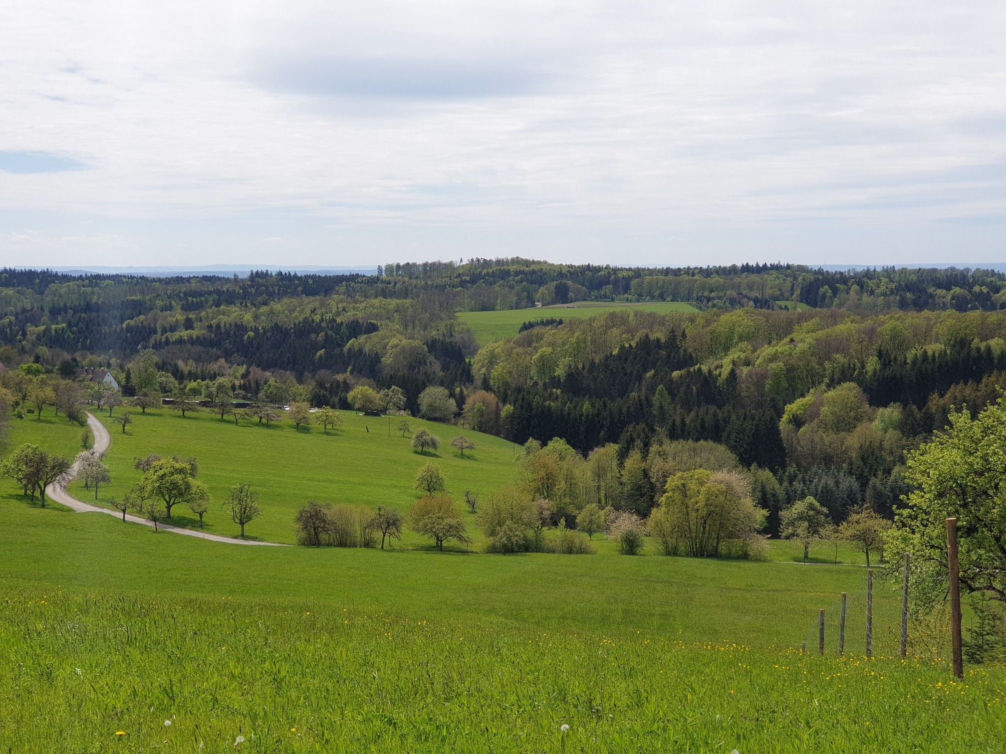 Ausblick gen Süden