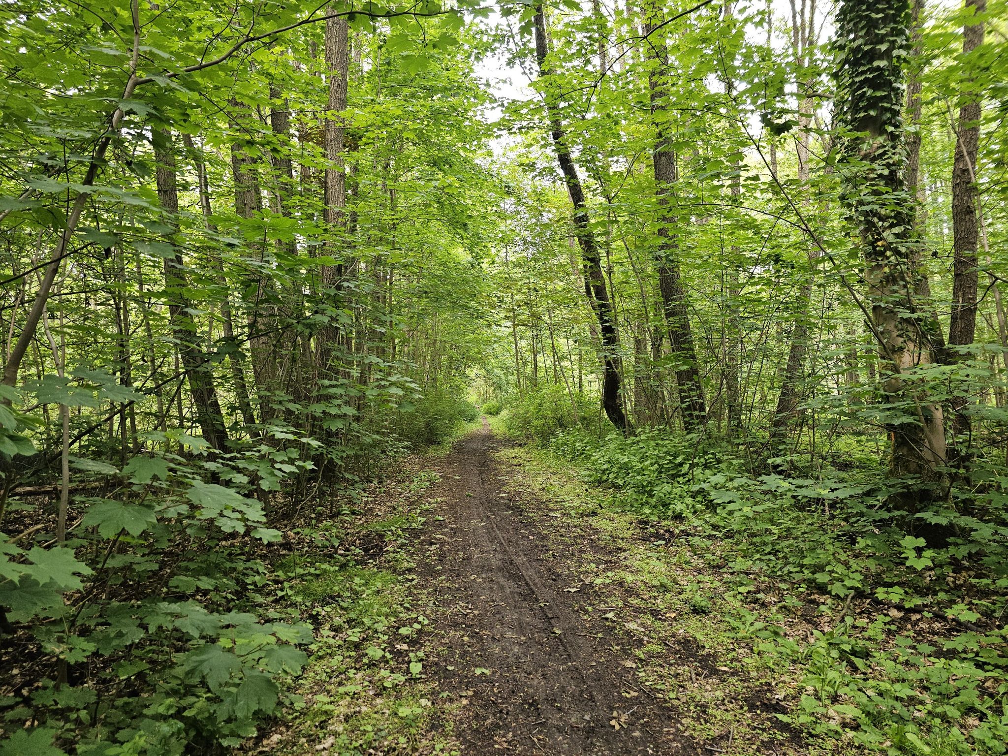 Zum Schluss noch Single Trail, bematscht / Jetzt aber ist genug gequatscht