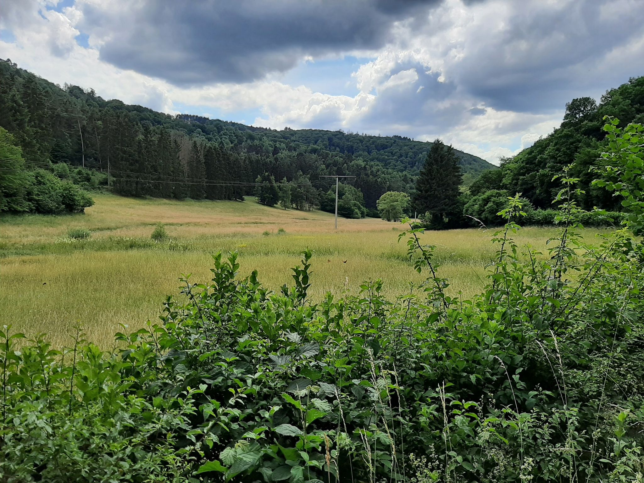 Staffeler Bachtal