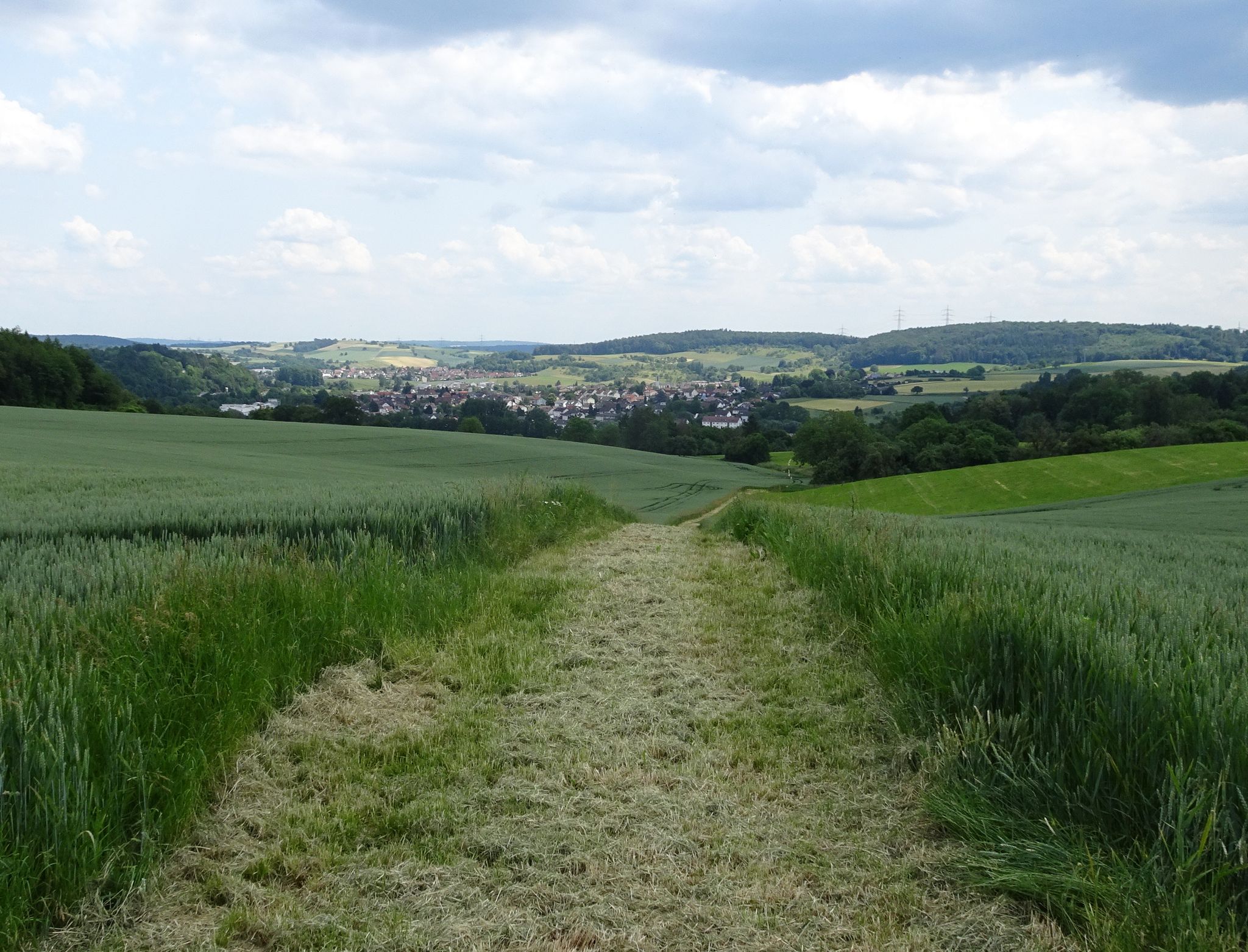 ein schön gemähter Wiesenweg