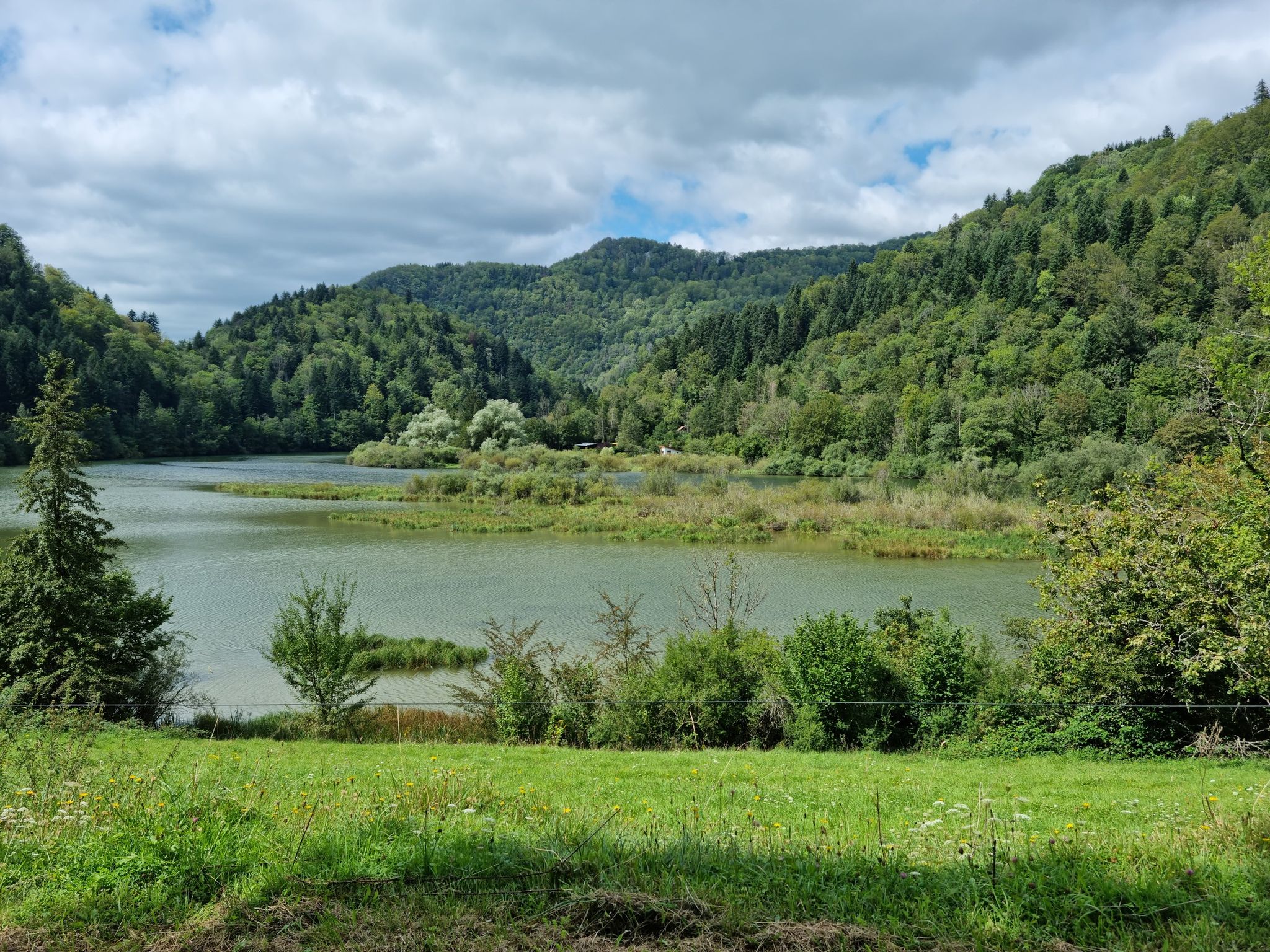 wilde Doubs