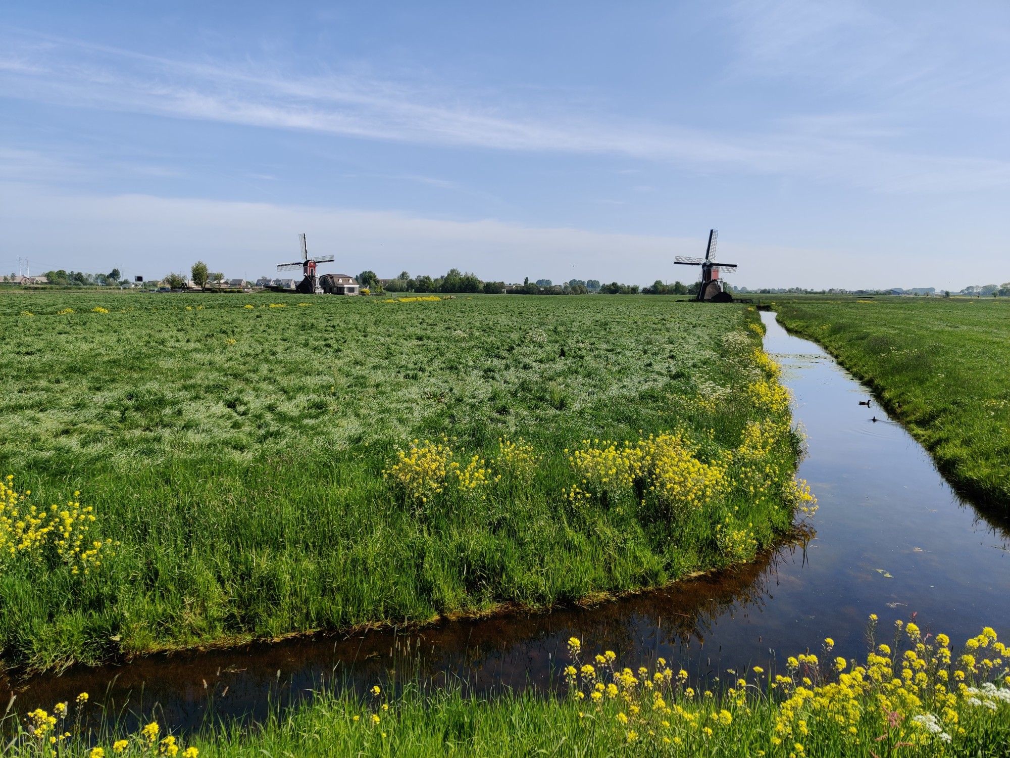Hoogmade