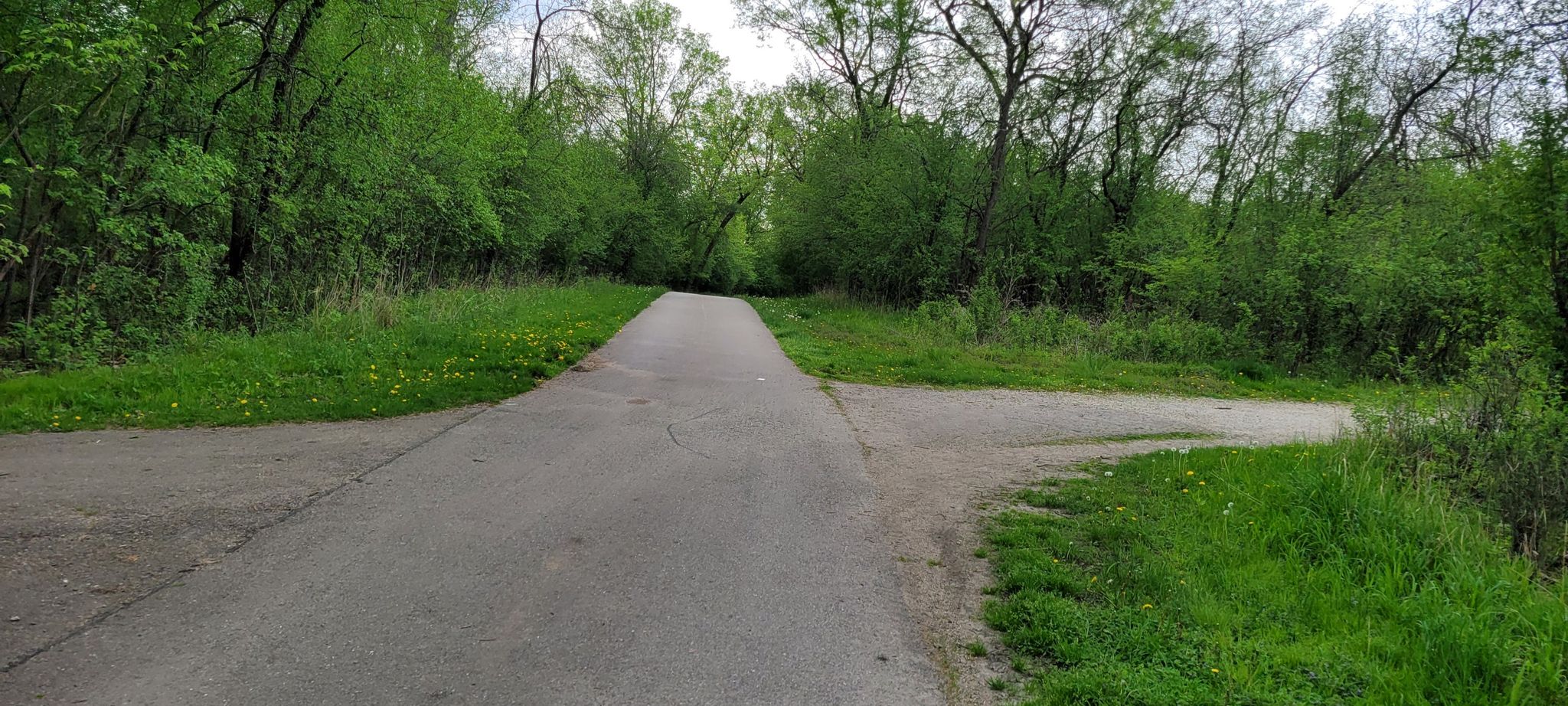 Paved path forks into two, surrounded by green grass and trees. - North Branch Yellow Unpaved Trail