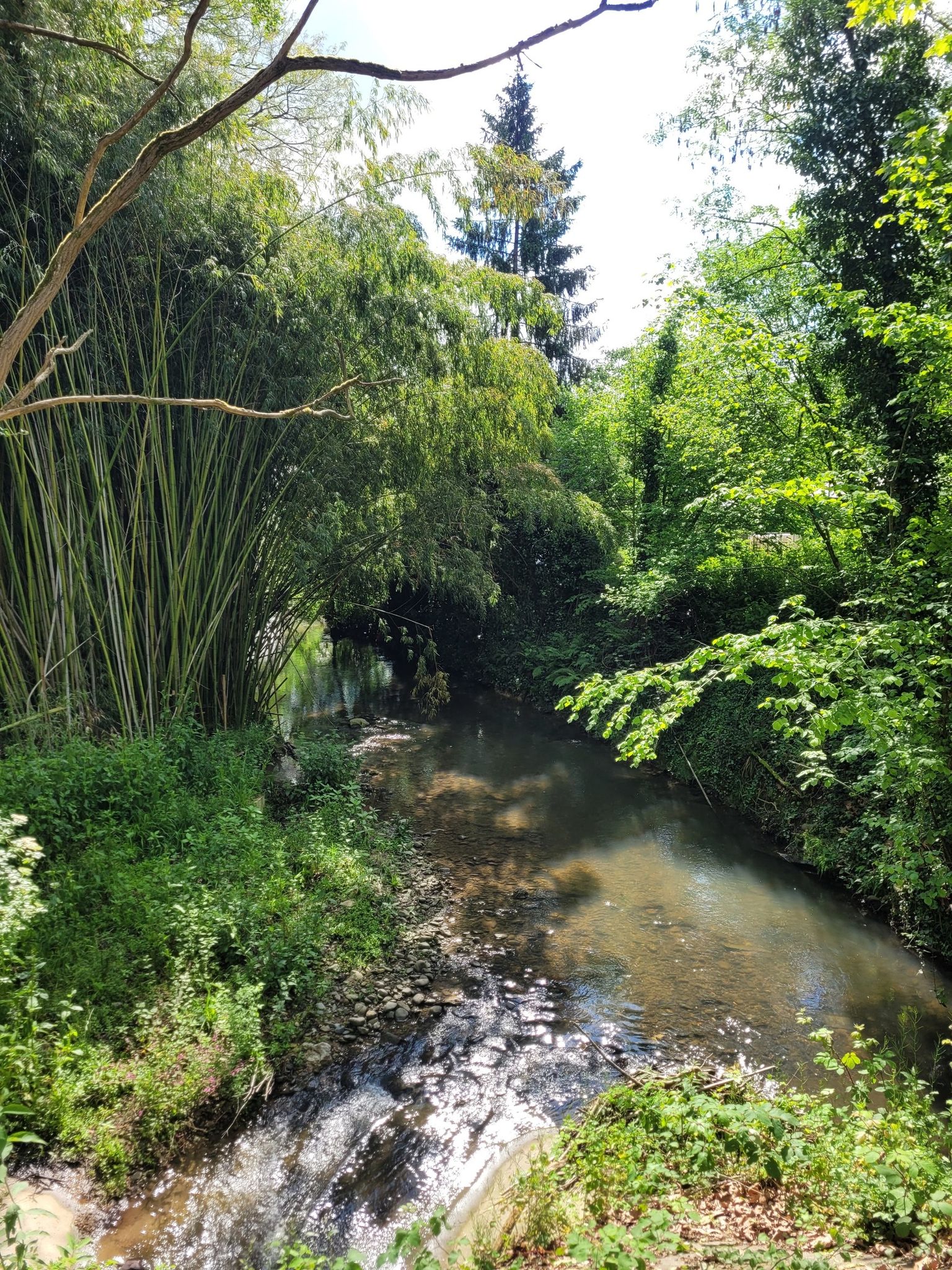 L'Ousse des Bois.
