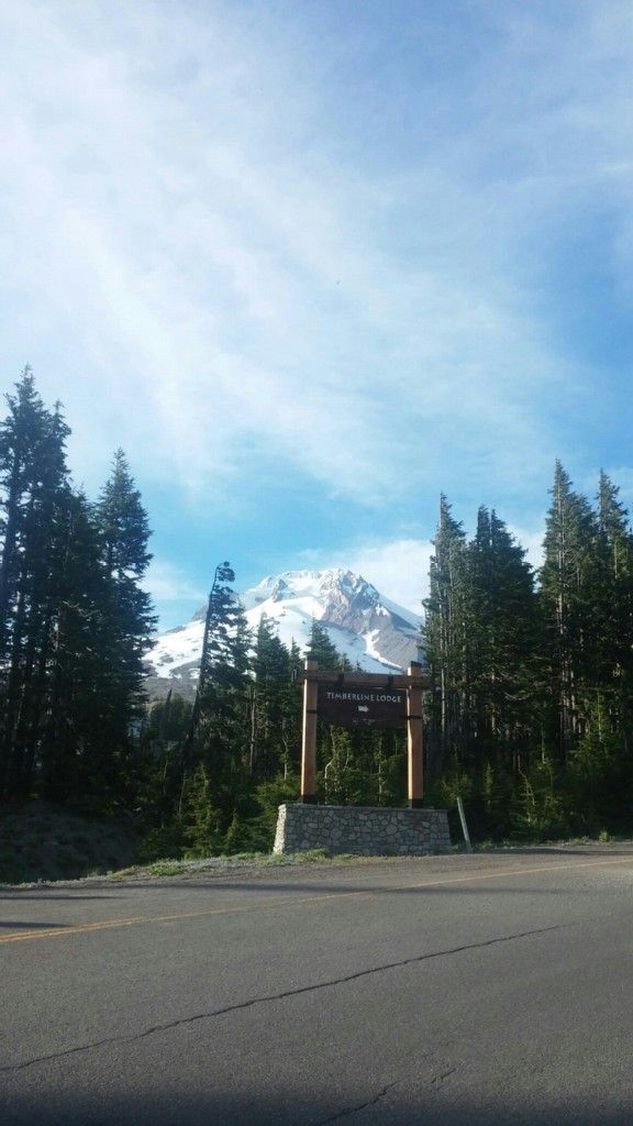 Roadside wooden sign framed by tall trees, with a snow-covered mountain behind. - Timberline Lodge – Government Camp loop from Government Camp