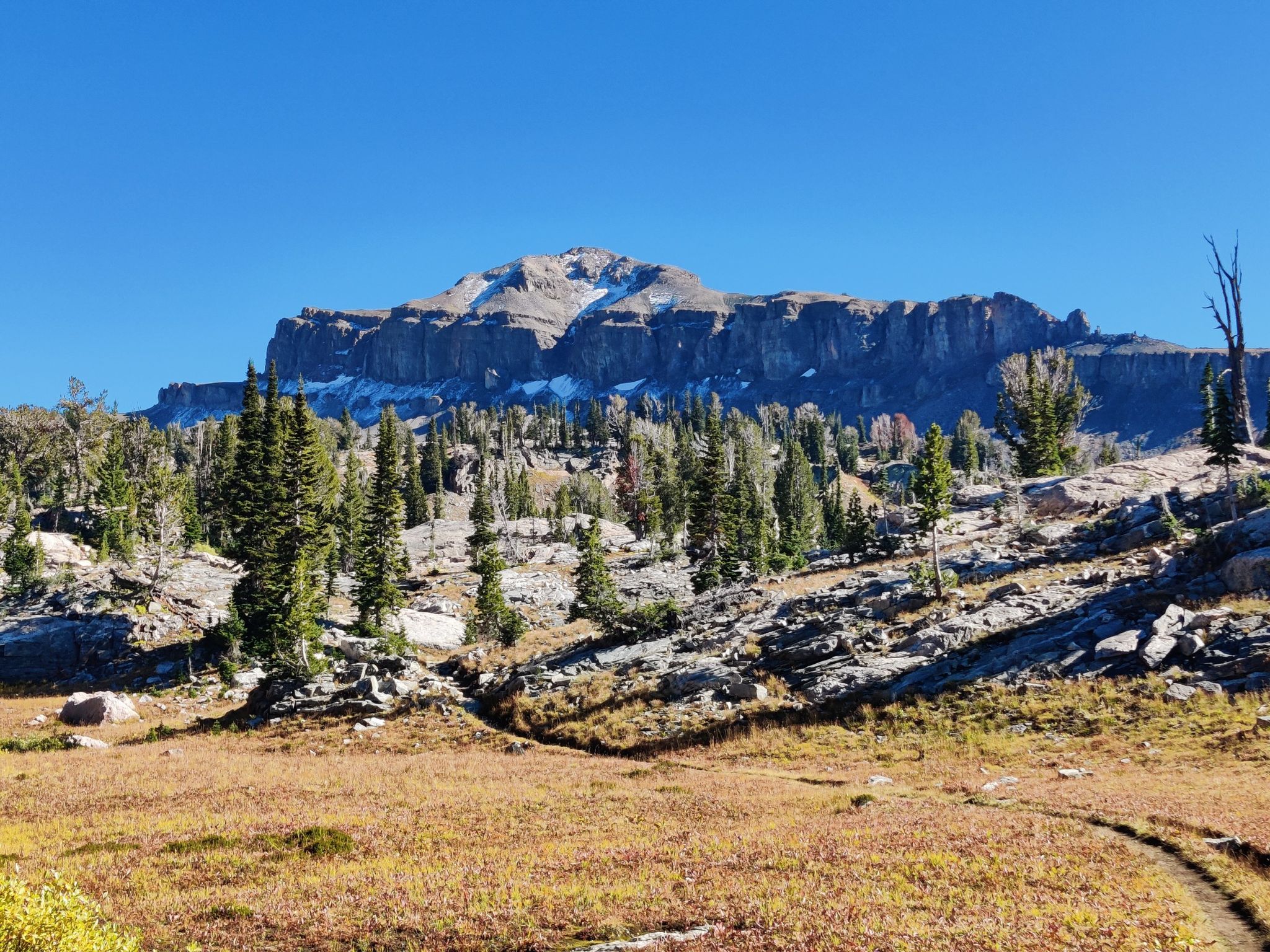 A massive rocky mountain with snow overlooks a pine forest under a clear blue sky. - Alaska Basin Trail