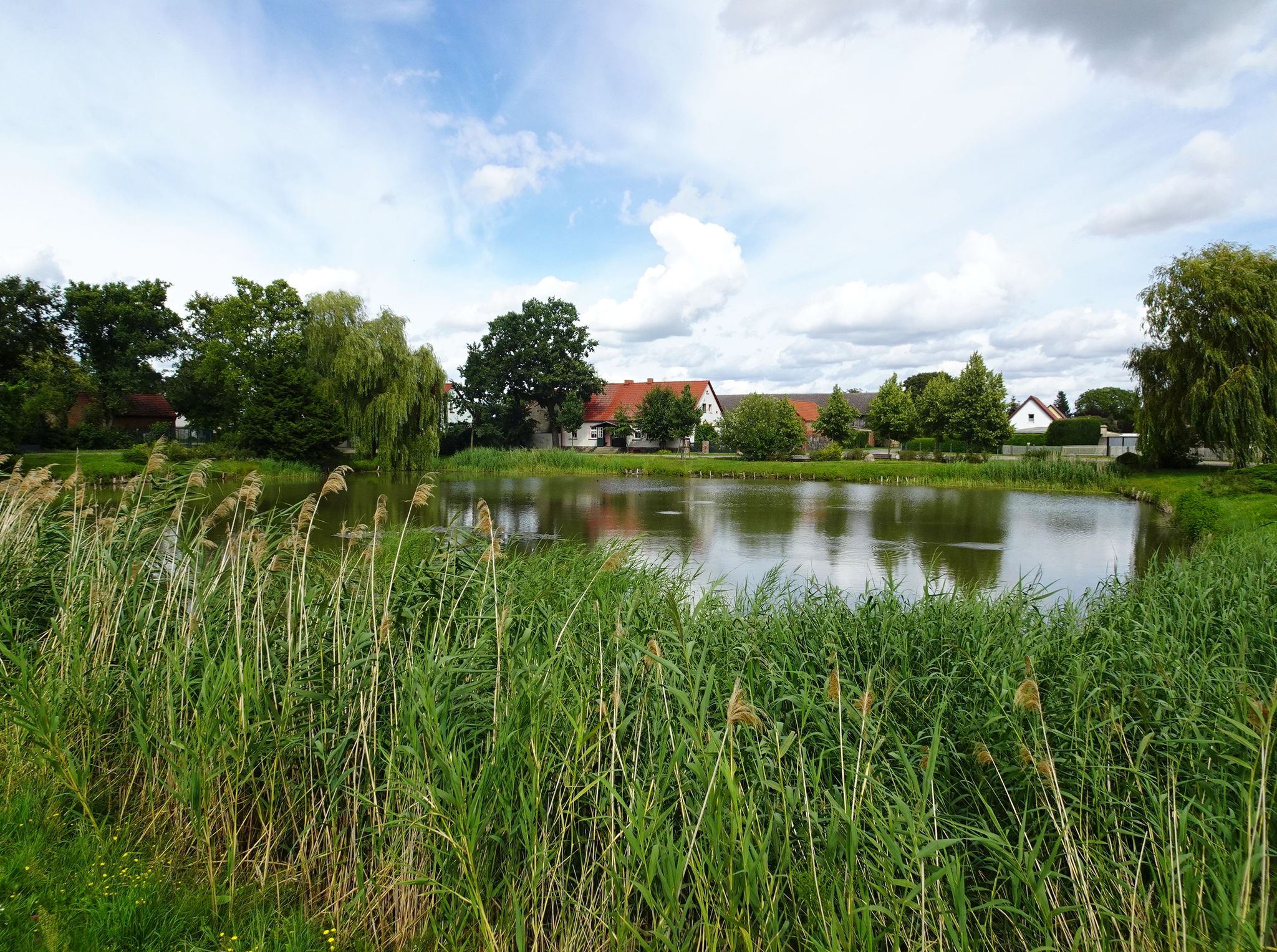 Dorfteich Friedersdorf
