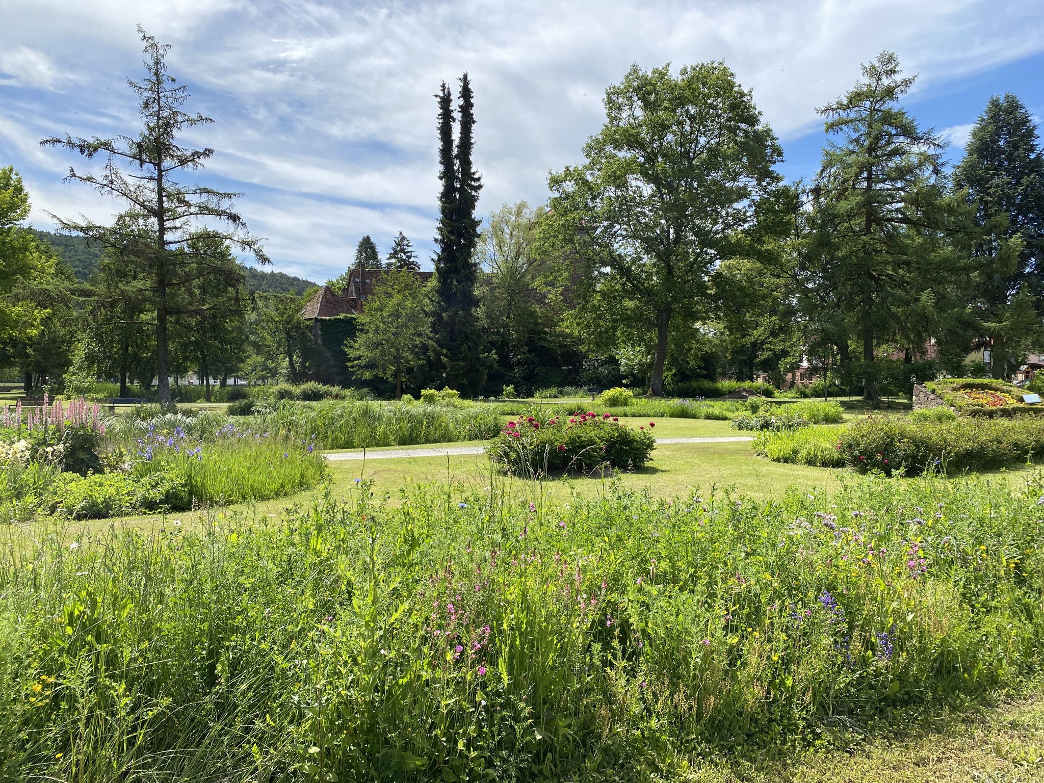 Burgsinn