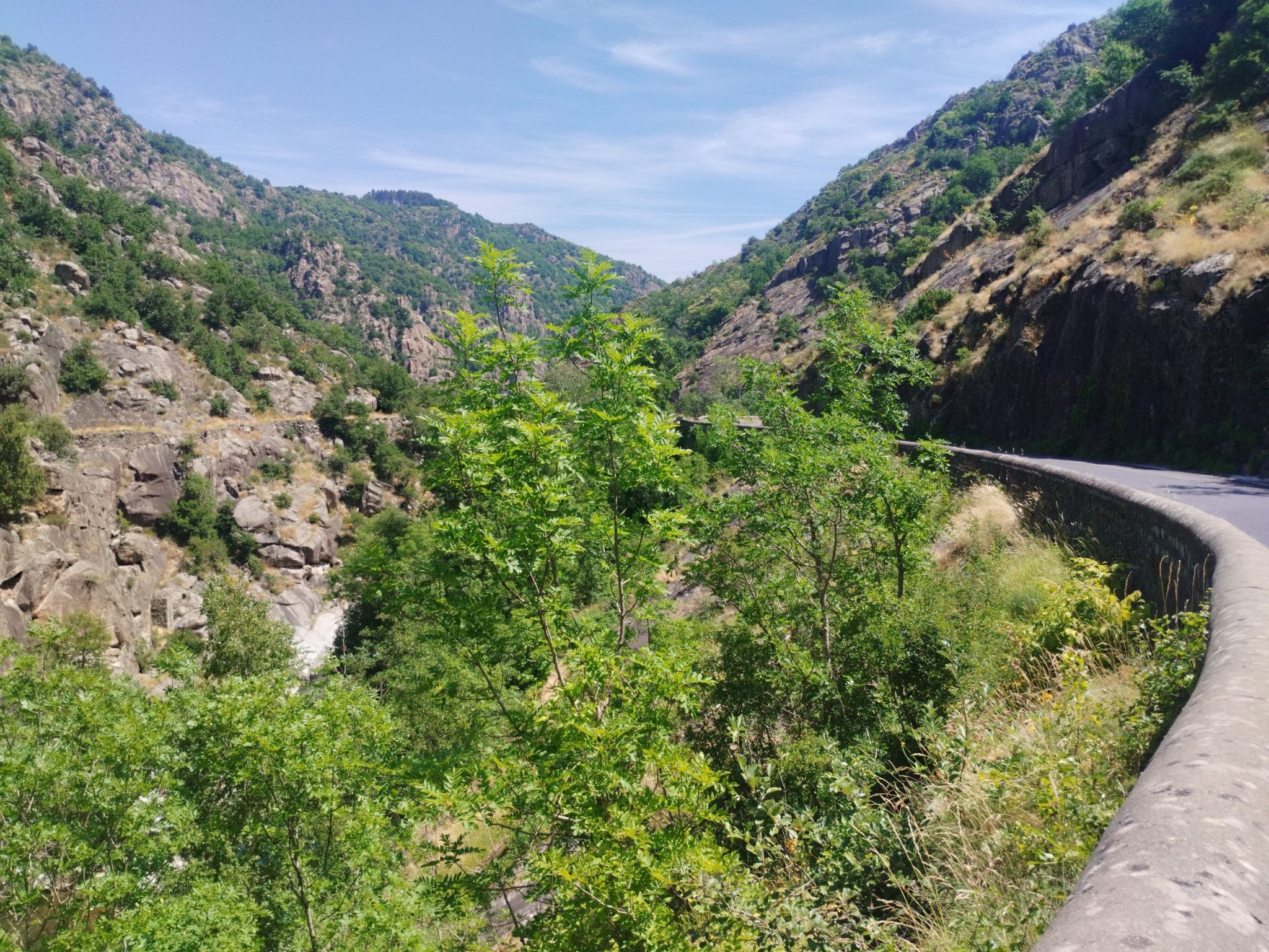 D51 entlang der Paillere