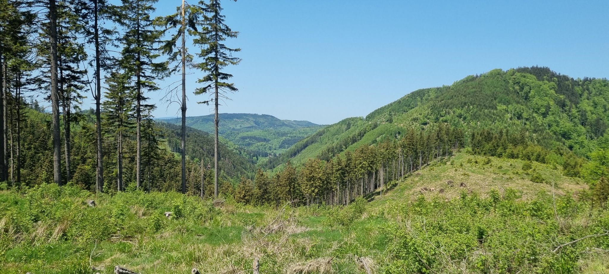 Dolina z Sokołowskiem