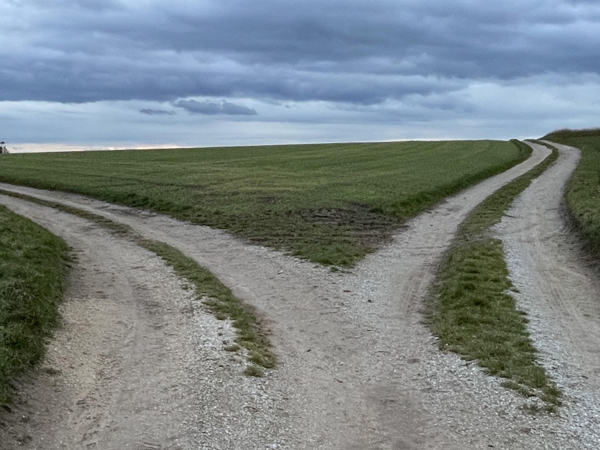 Sinnbild für viele Entscheidungen im Leben. Wir haben die Wahl. ☀️