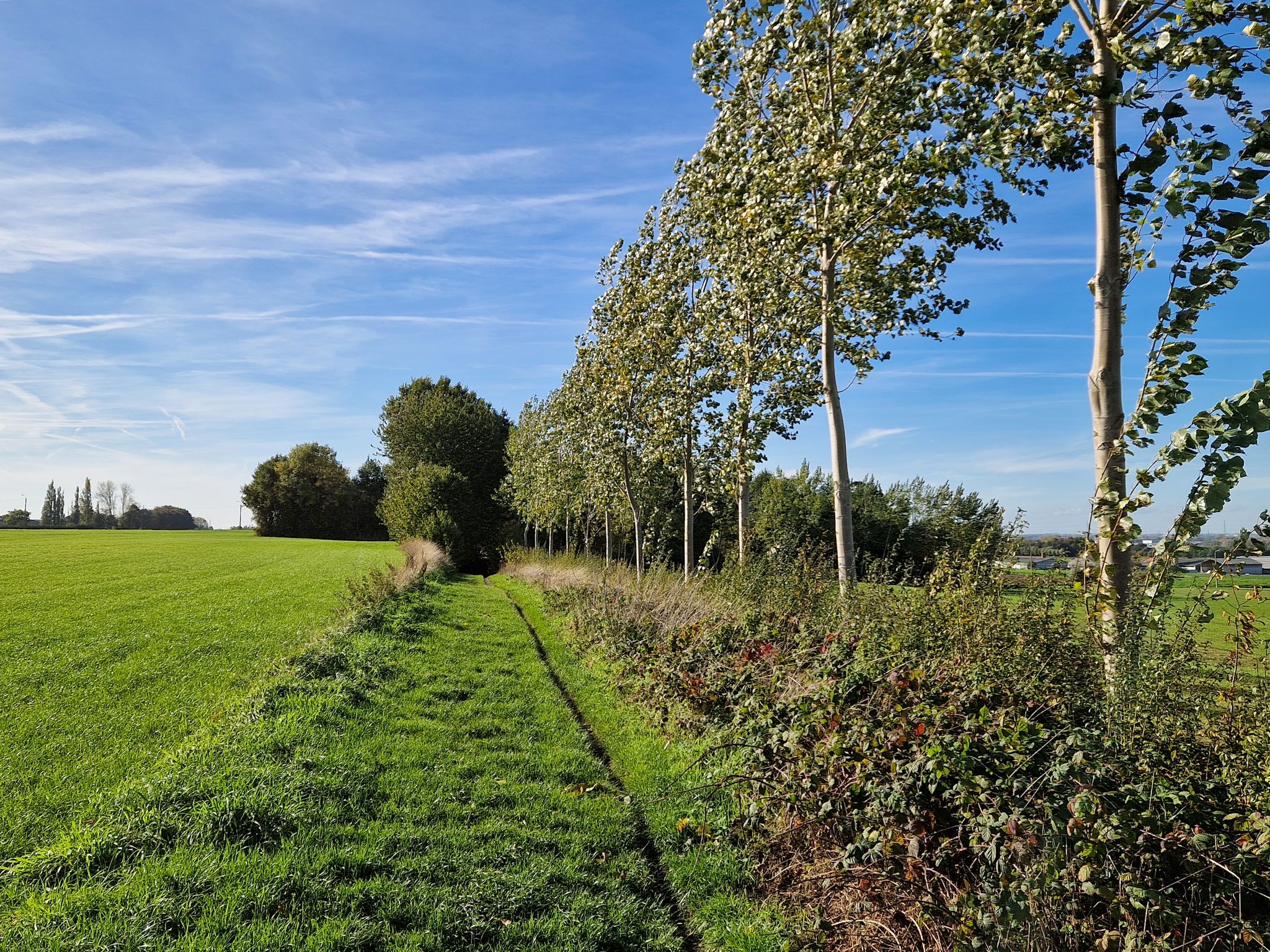 Graswegel bij Kruishoutem