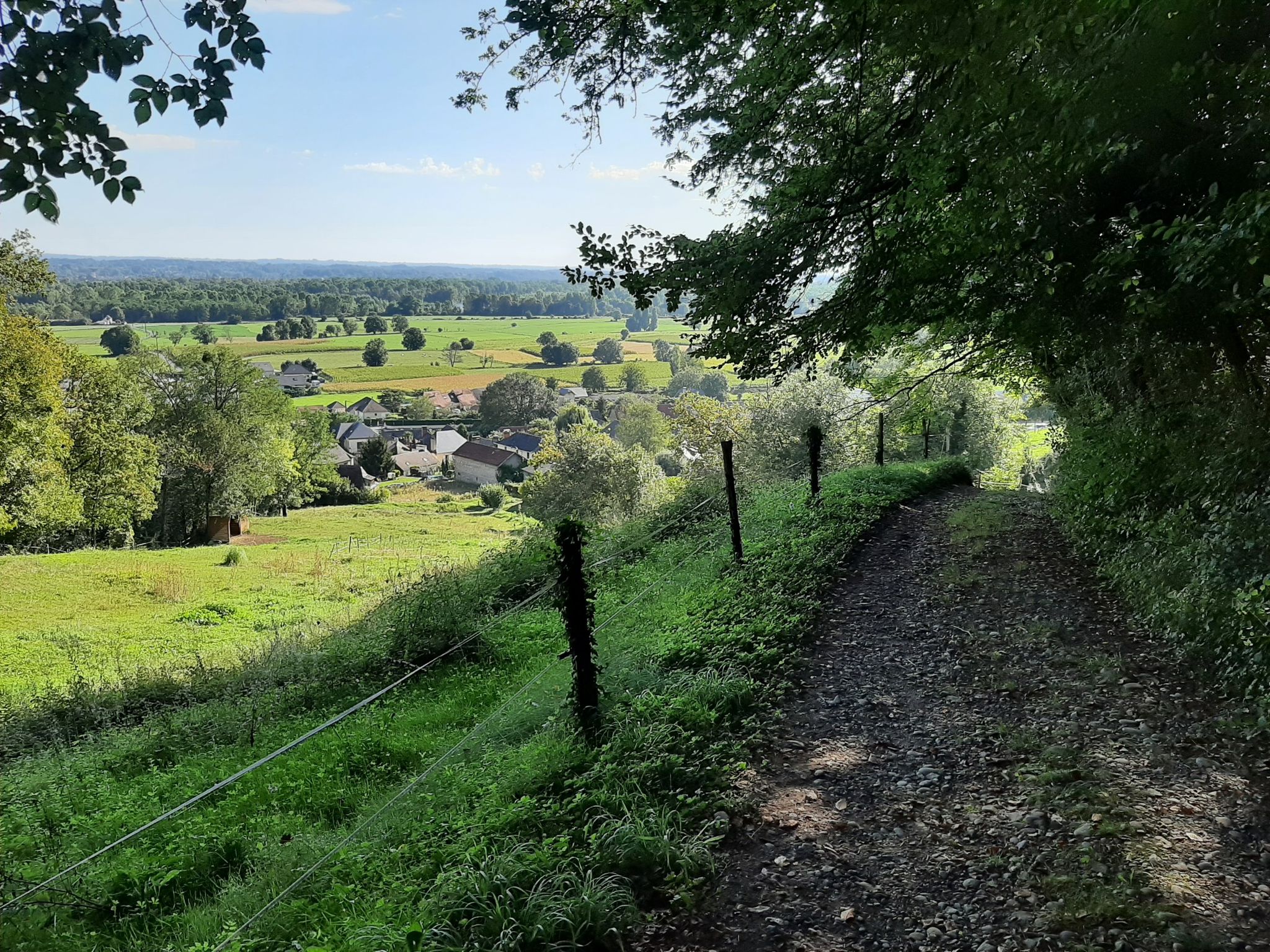 VTT6 en sortant du bois