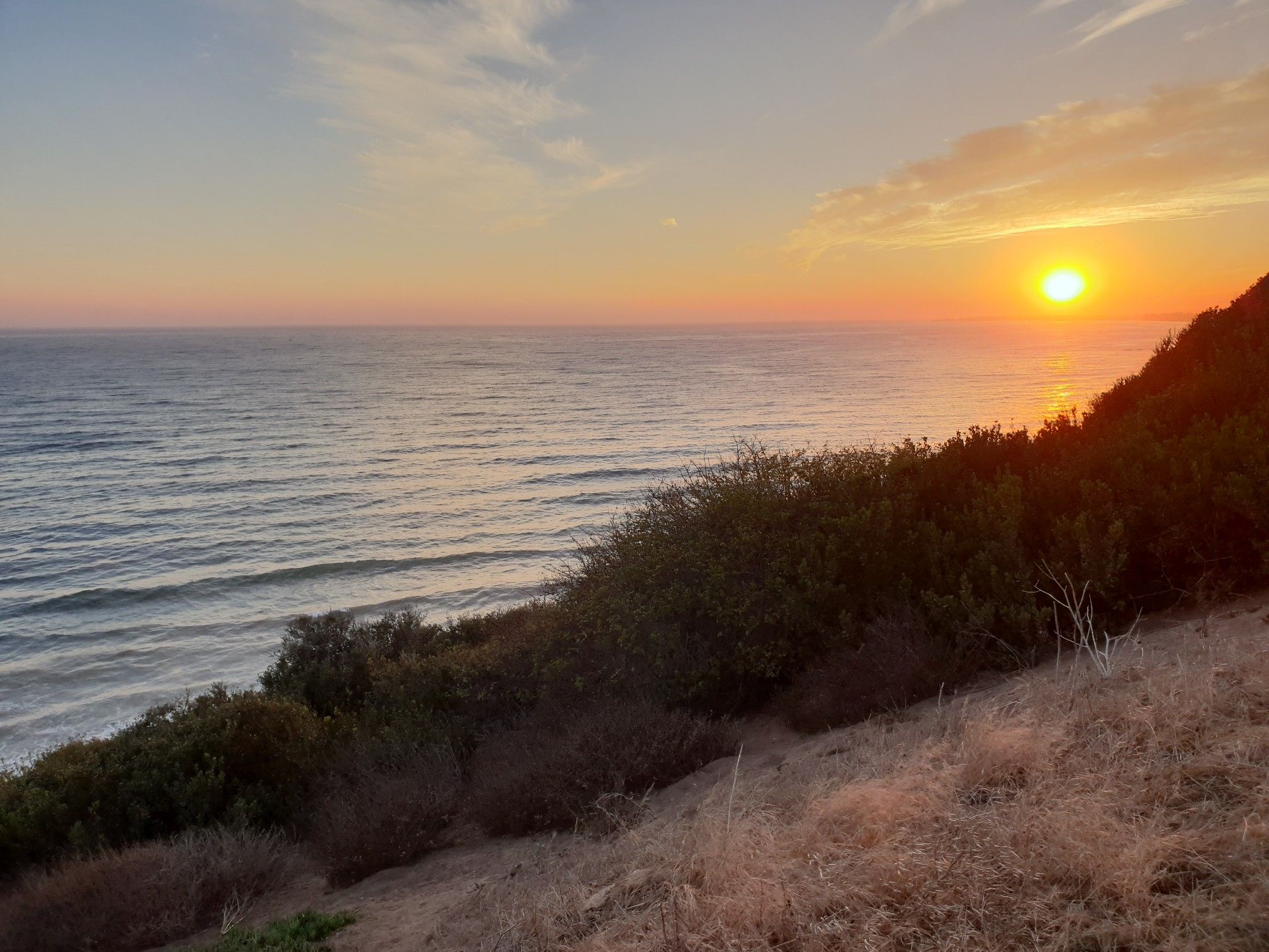 Golden sunset over a vast ocean with a brush-covered hillside. - Elings Park Sierra Club Trail loop