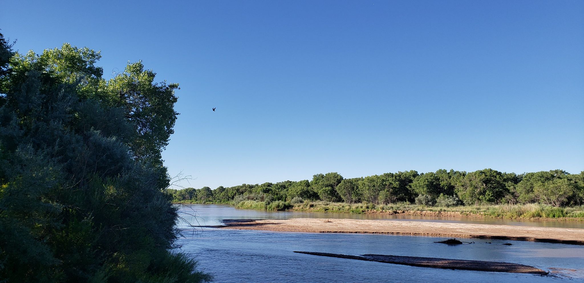 Wide river flowing between green trees under a clear blue sky. - Paseo del Bosque and Aldo Leopold Trail Loop