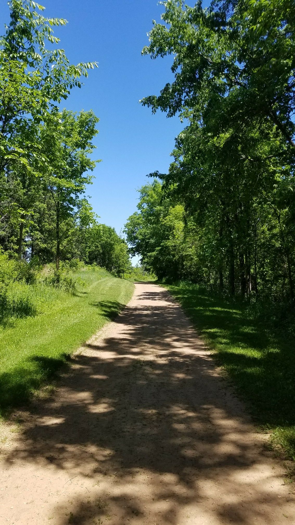on the pine trail