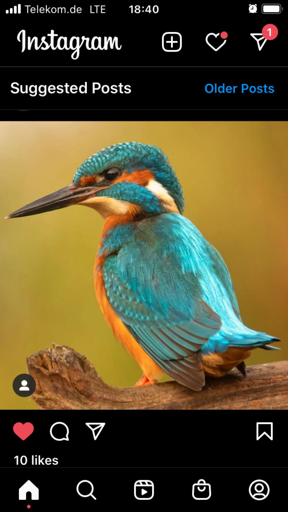 user avatar
