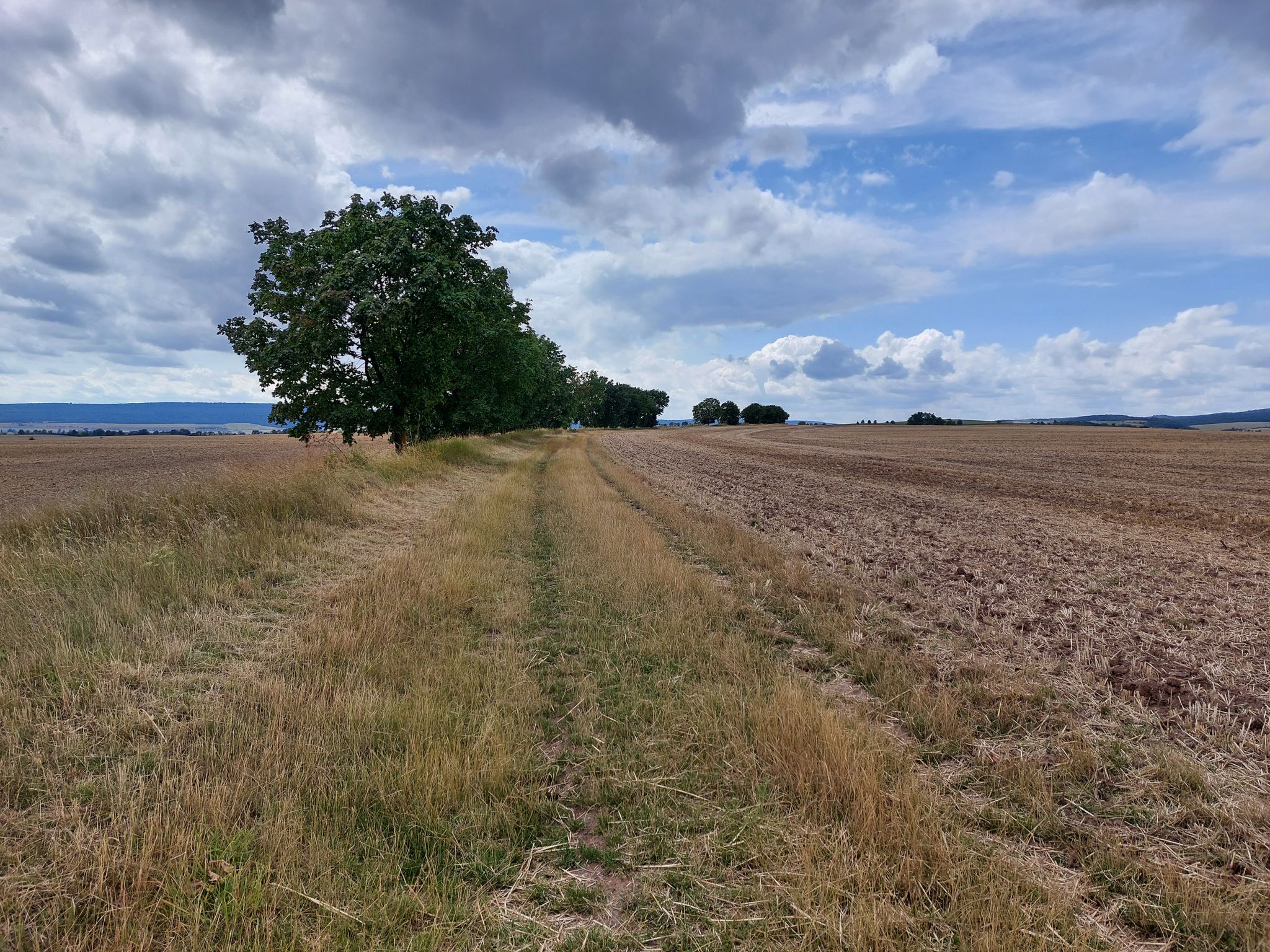 durch freie Felder
