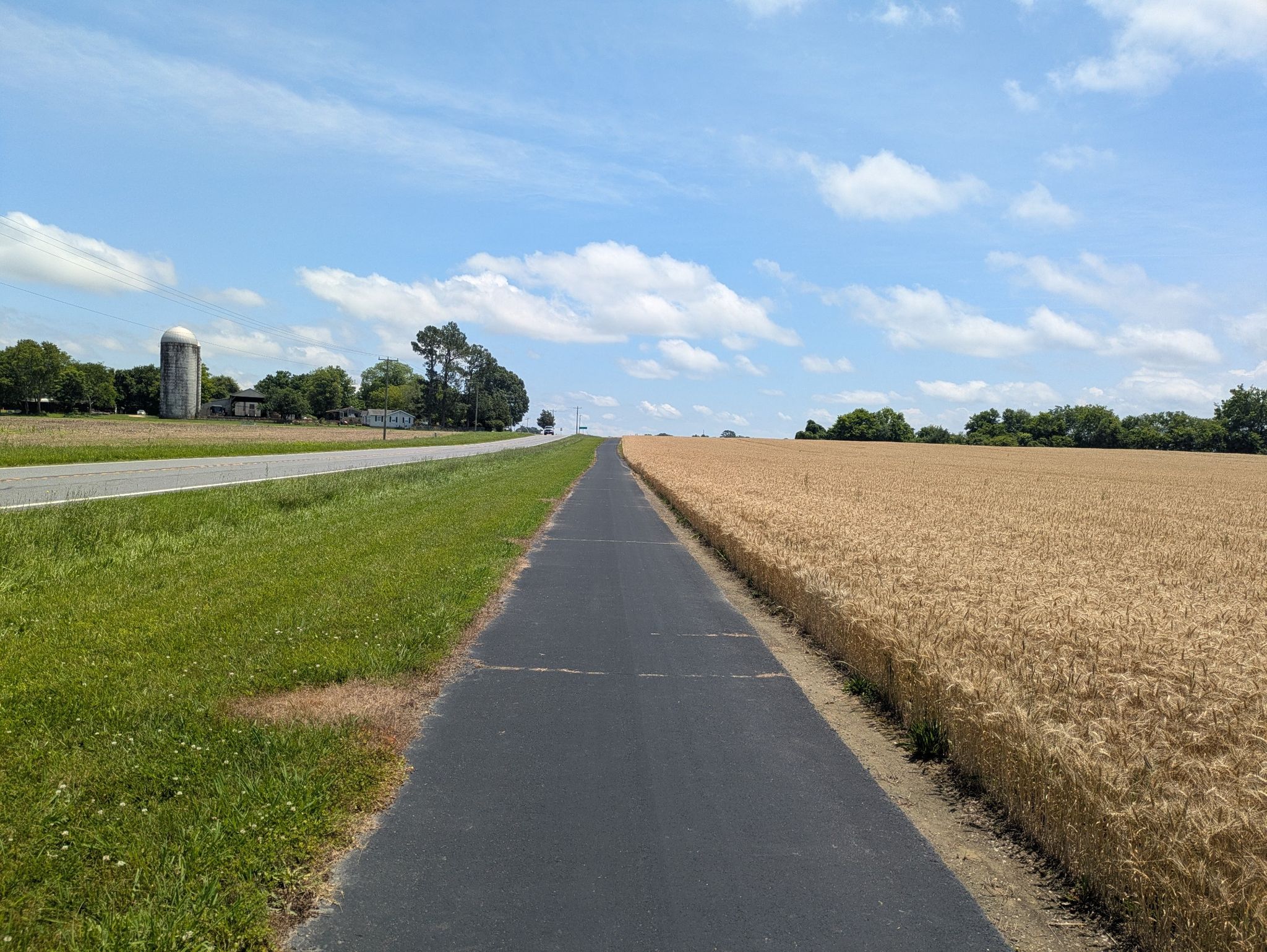 Paved path between a green field and a golden wheat field under blue sky. - Kimages Hill loop from Charles City